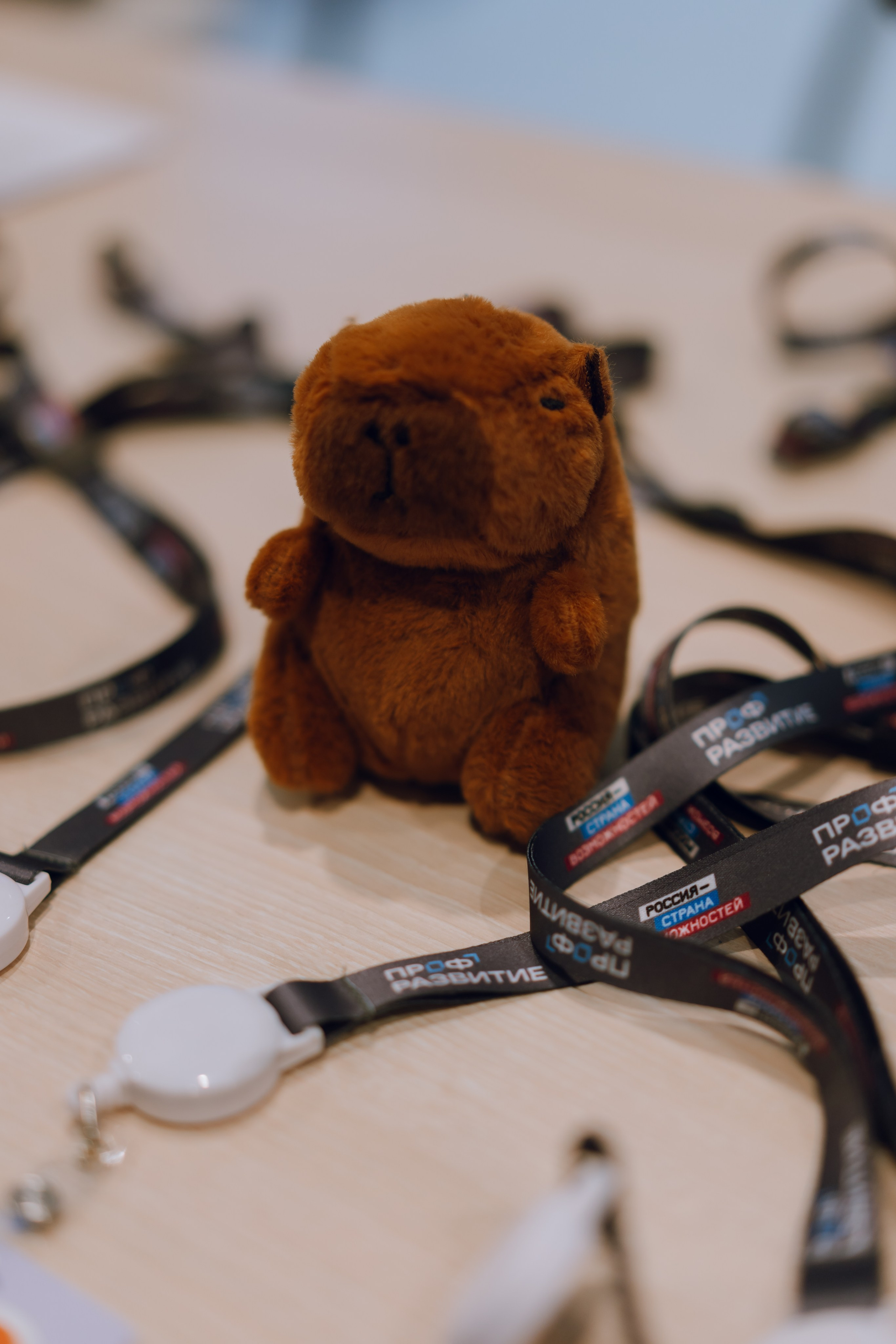 Профразвитие 1 декабря. Фотограф Надежда Погребняк | Рязань | Москва