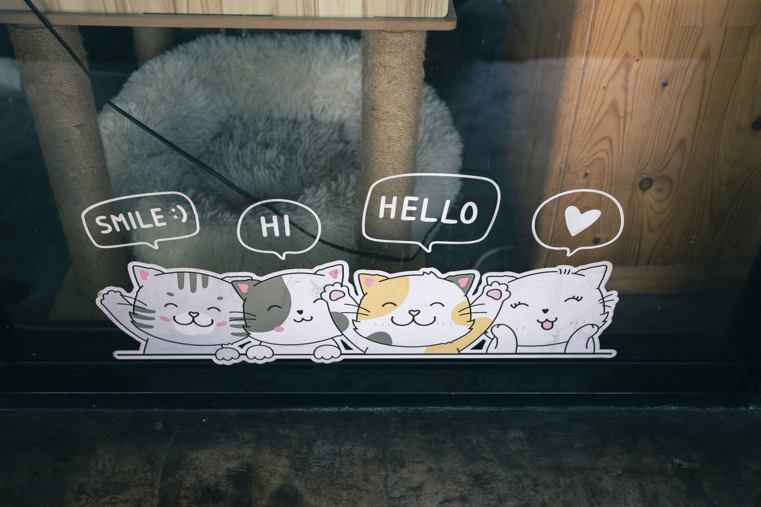 Cazz Cafe. Фотограф Сонкина Татьяна