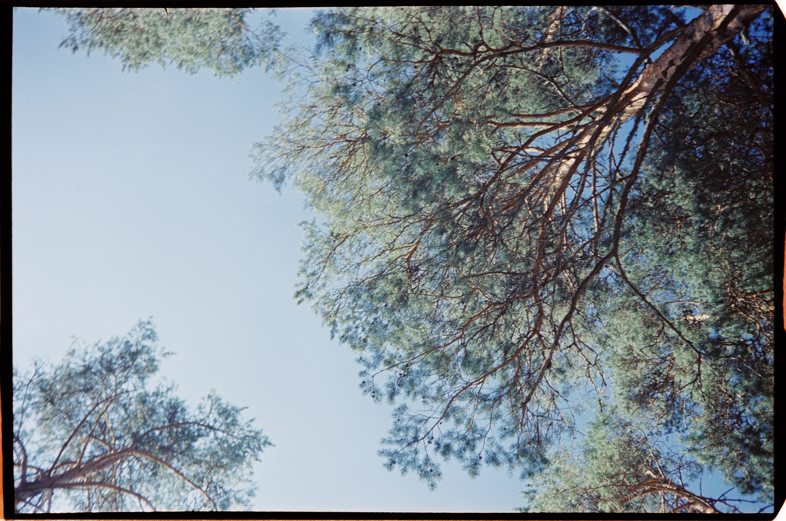 И вокруг меня. Портретный и концертный фотограф в Санкт-Петербурге Егор Телятников