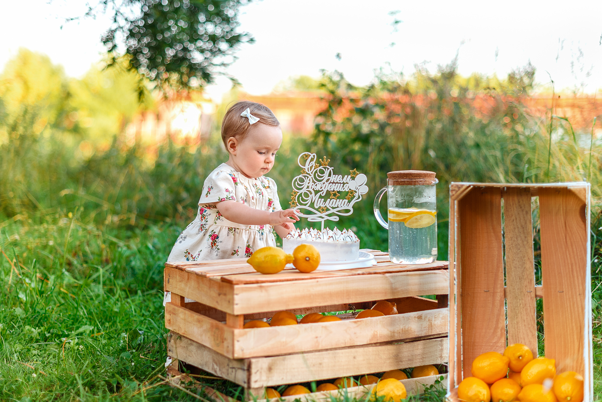 Лимонная фотосессия. Свадебный и семейный фотограф Москва, Иваново Марина Праулинь (Плаксин