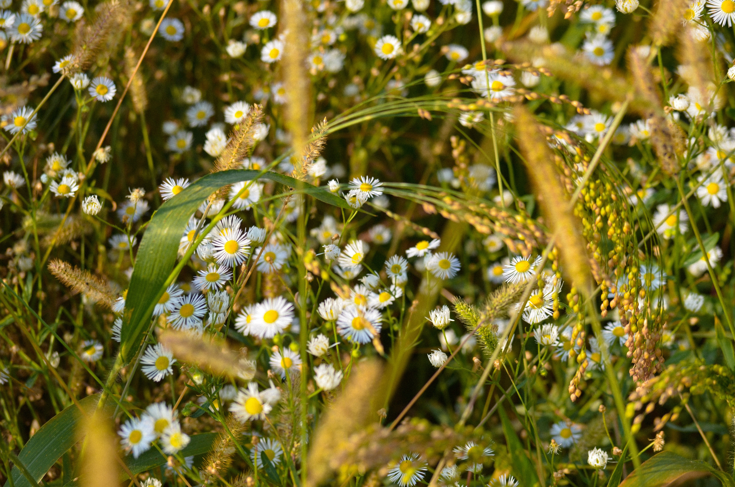 Фотограф Москва Черницына Юлия