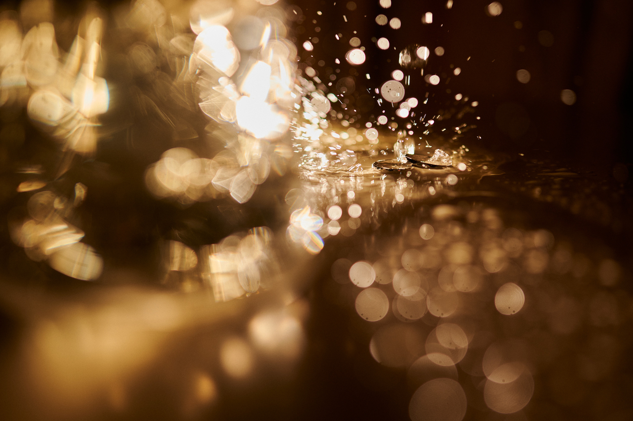 Сергей и Регина. Свадебный и семейный фотограф в Ростове-на-Дону