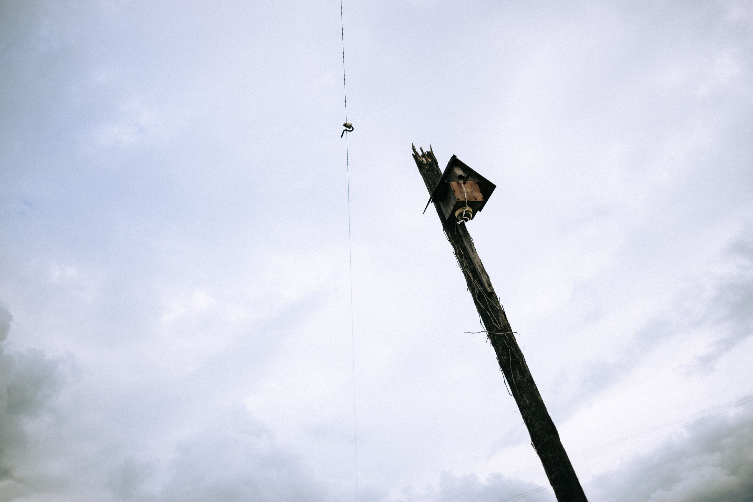 Прогулка по Криволучью. Свадебный и семейный фотограф в Туле и области Маша Костина