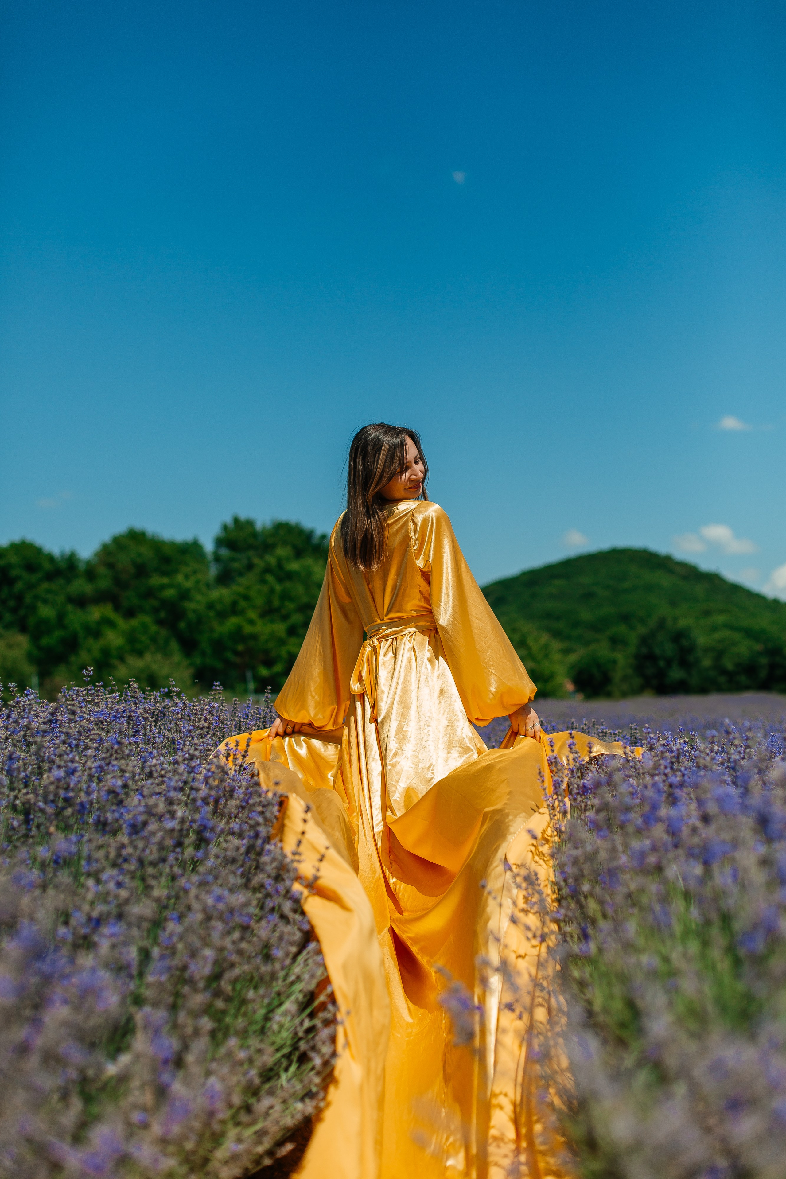 Лавандовые поля