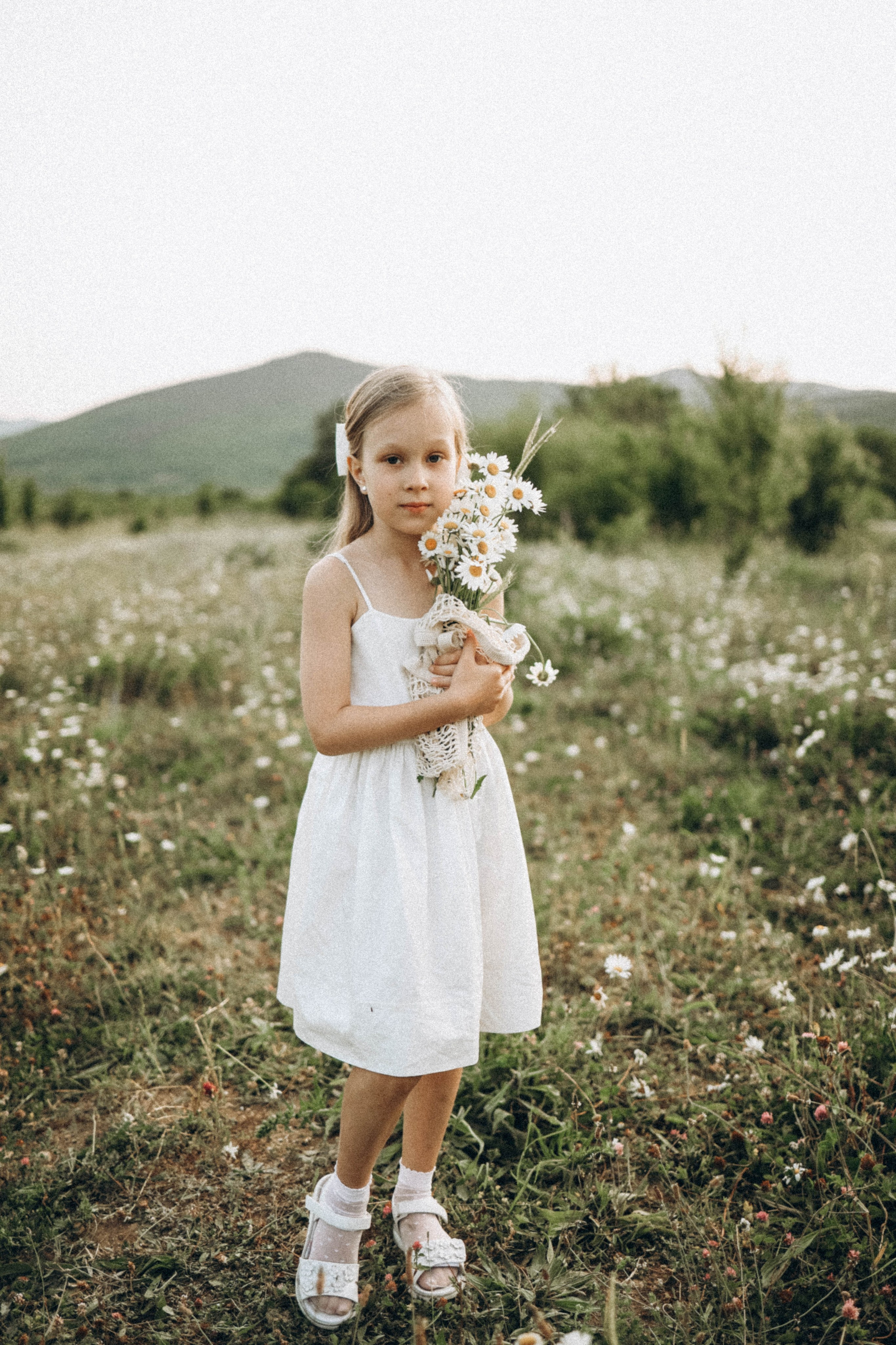 Ромашки. Фотограф Немазенко Ольга