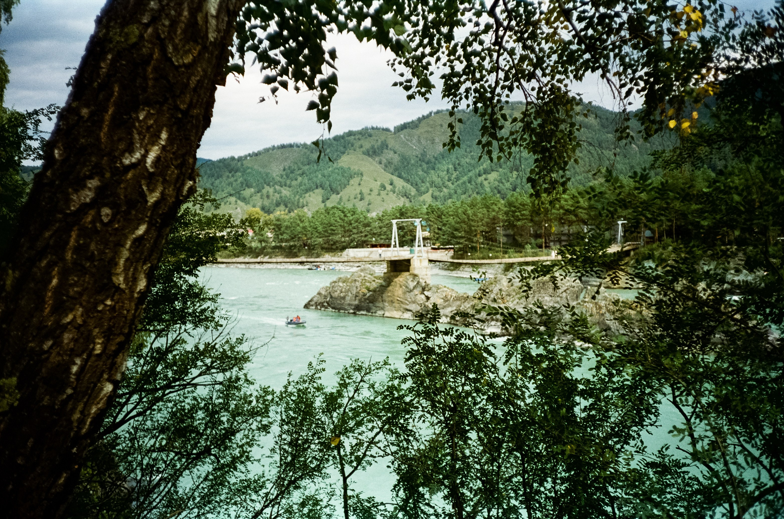 Зубы Дракона и солнечный подарок. Сад пионов. Фотограф-документалист Мария Осокина