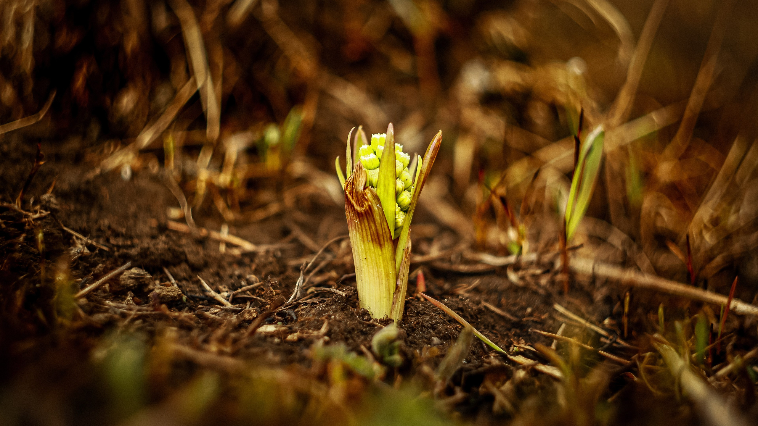 Магия обыкновенного. Фотограф-документалист и фототерапевт Настя Китаева. Город Москва