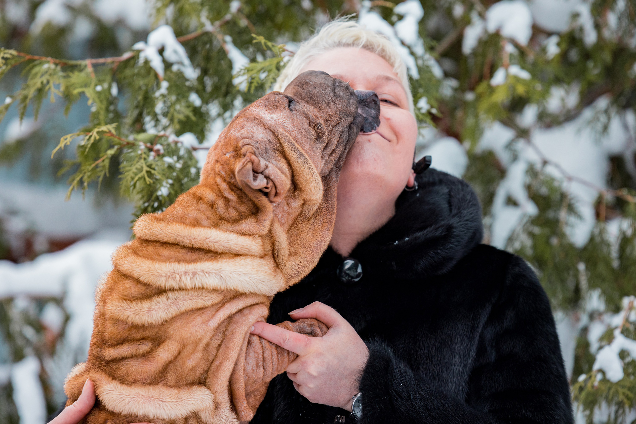 В гостях у шарпеев 16.01.2024. Фотограф-анималист Юлия Германика