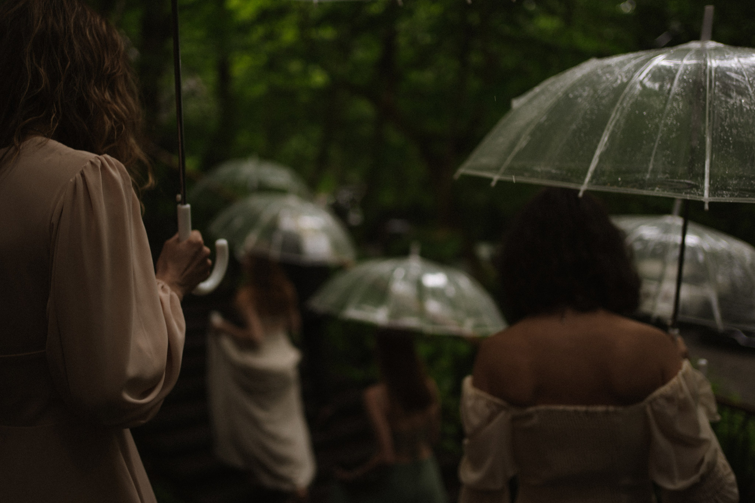 Прячься! Дождь идёт. Сочи. 2024. Никита Погосов