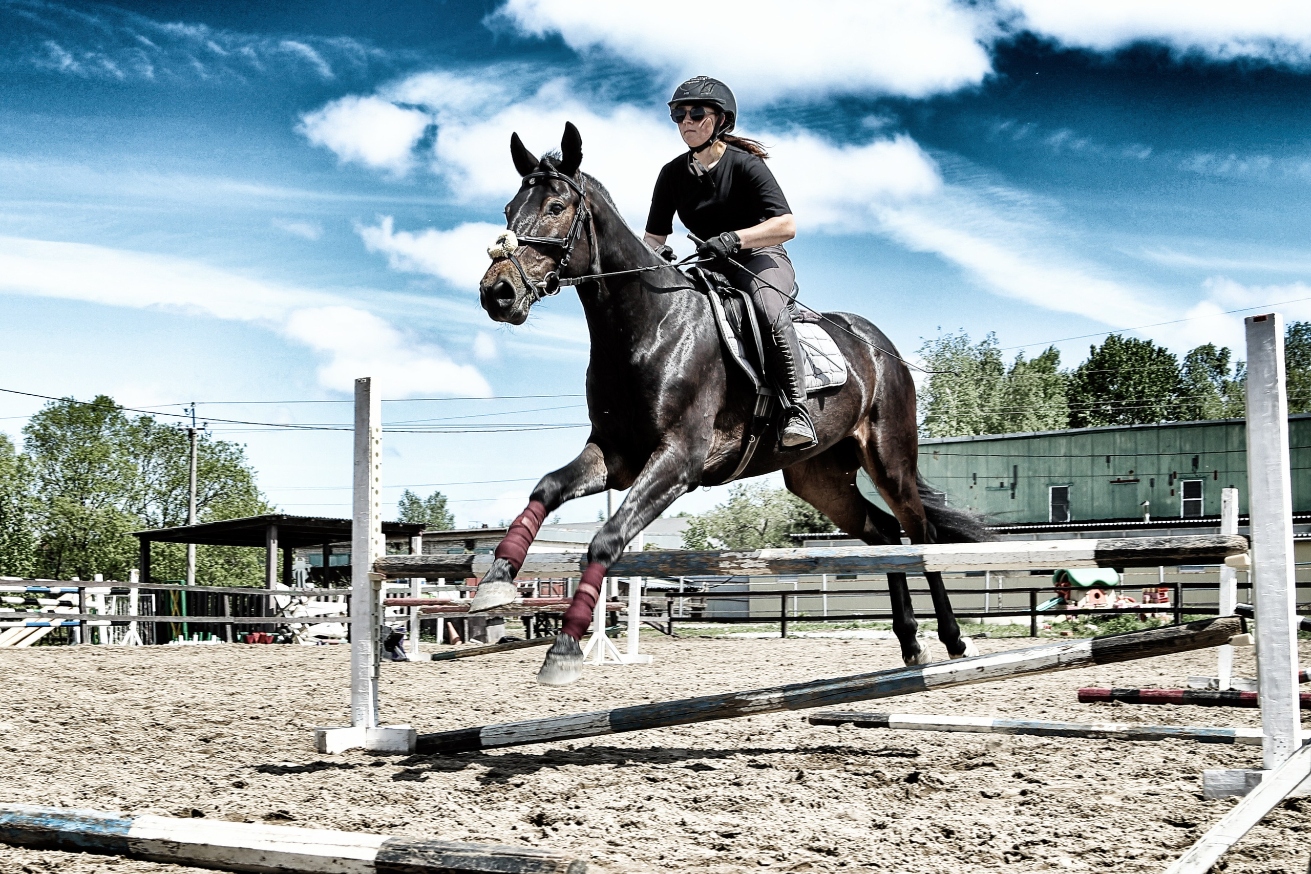 Лошади «Каскад» и «Брилиант». Алиса Томшина — Фотограф / Видеограф