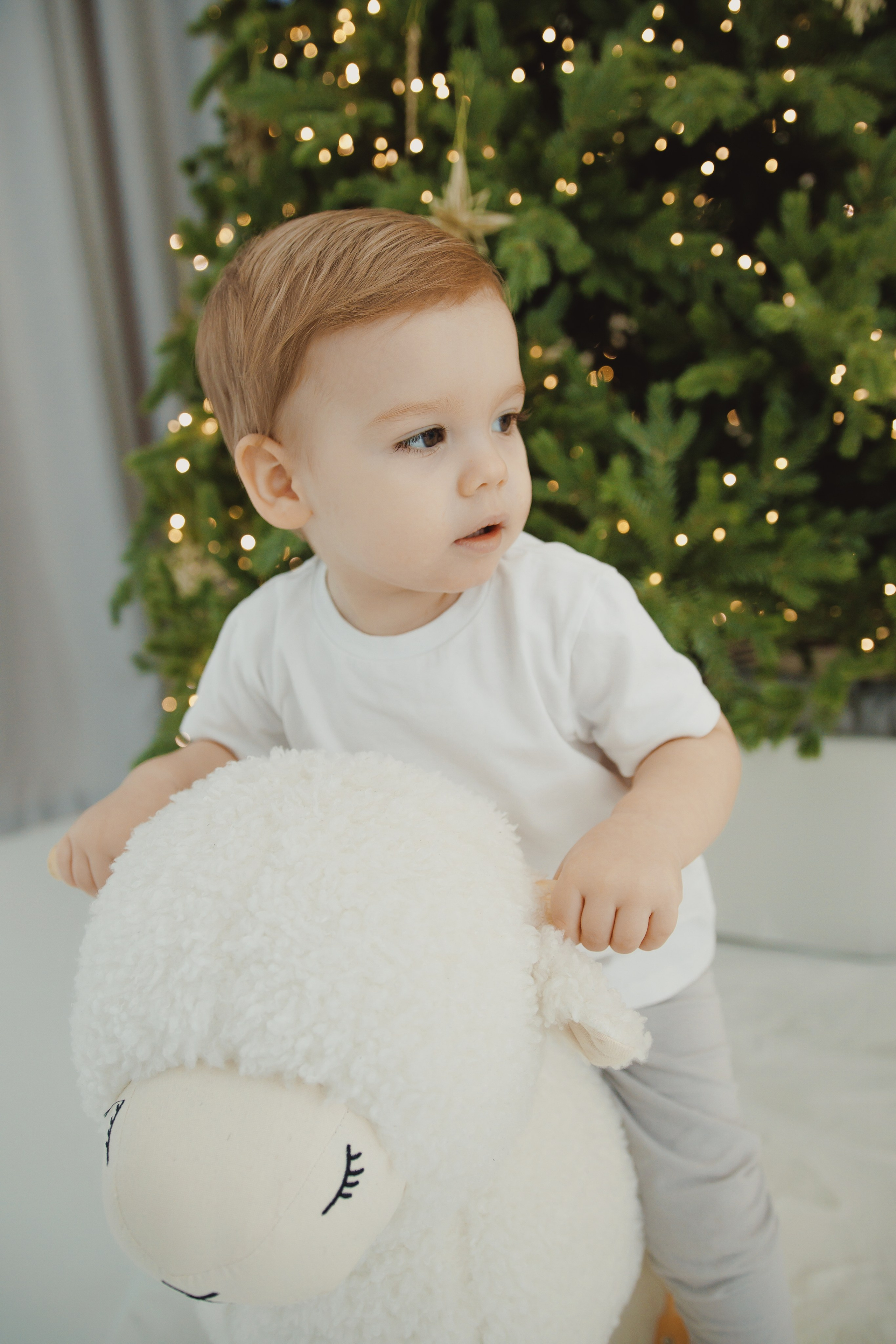 Семейная новогодняя. Диана фотограф в Краснодаре