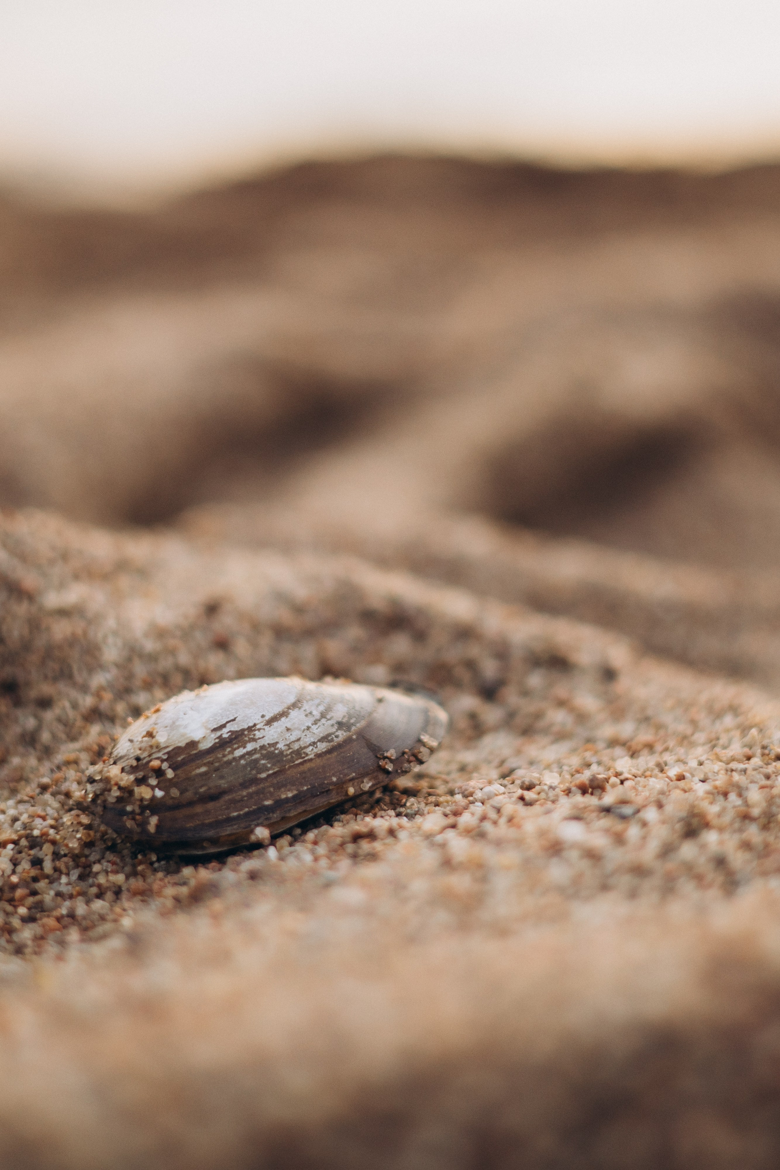 Катрин. Семейный и детский фотограф в Санкт-Петербурге — Лаврова Ольга