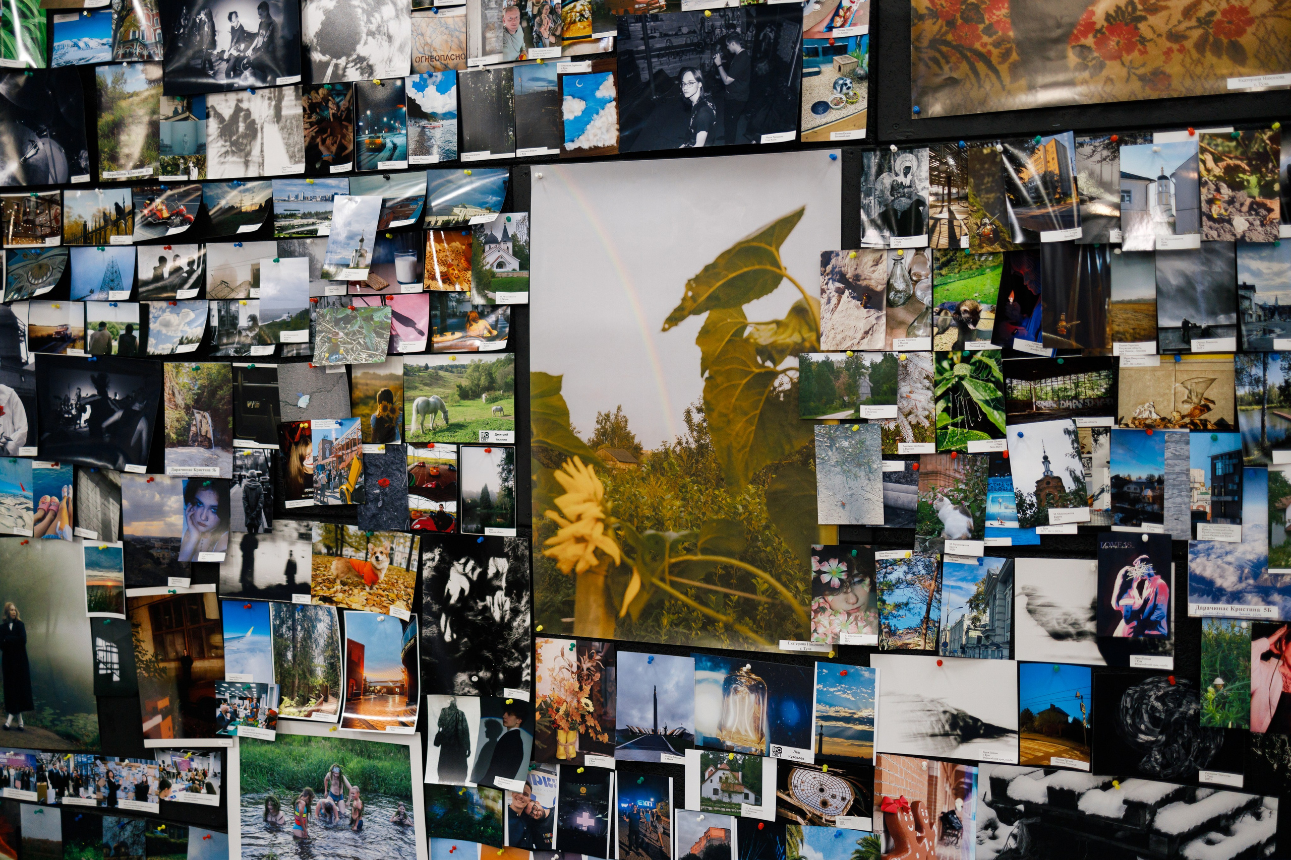 Фотофестиваль «Молодая фотография в Октаве». Свадебный и семейный фотограф в Туле и области Маша Костина