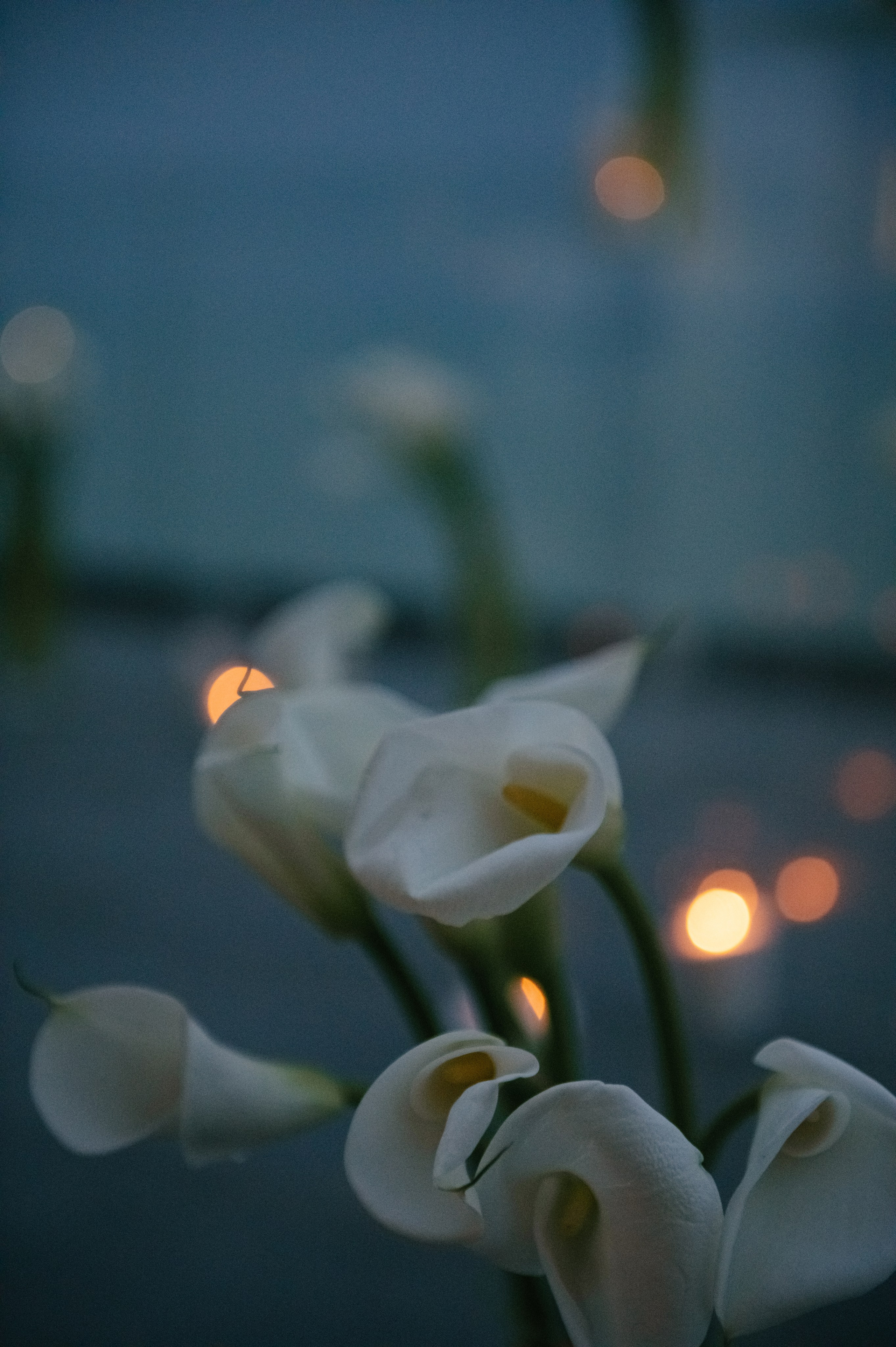 Никита и Анастасия (с.Николаевка). Свадебный, женский, семейный фотограф в Севастополе Юлия Мошенко