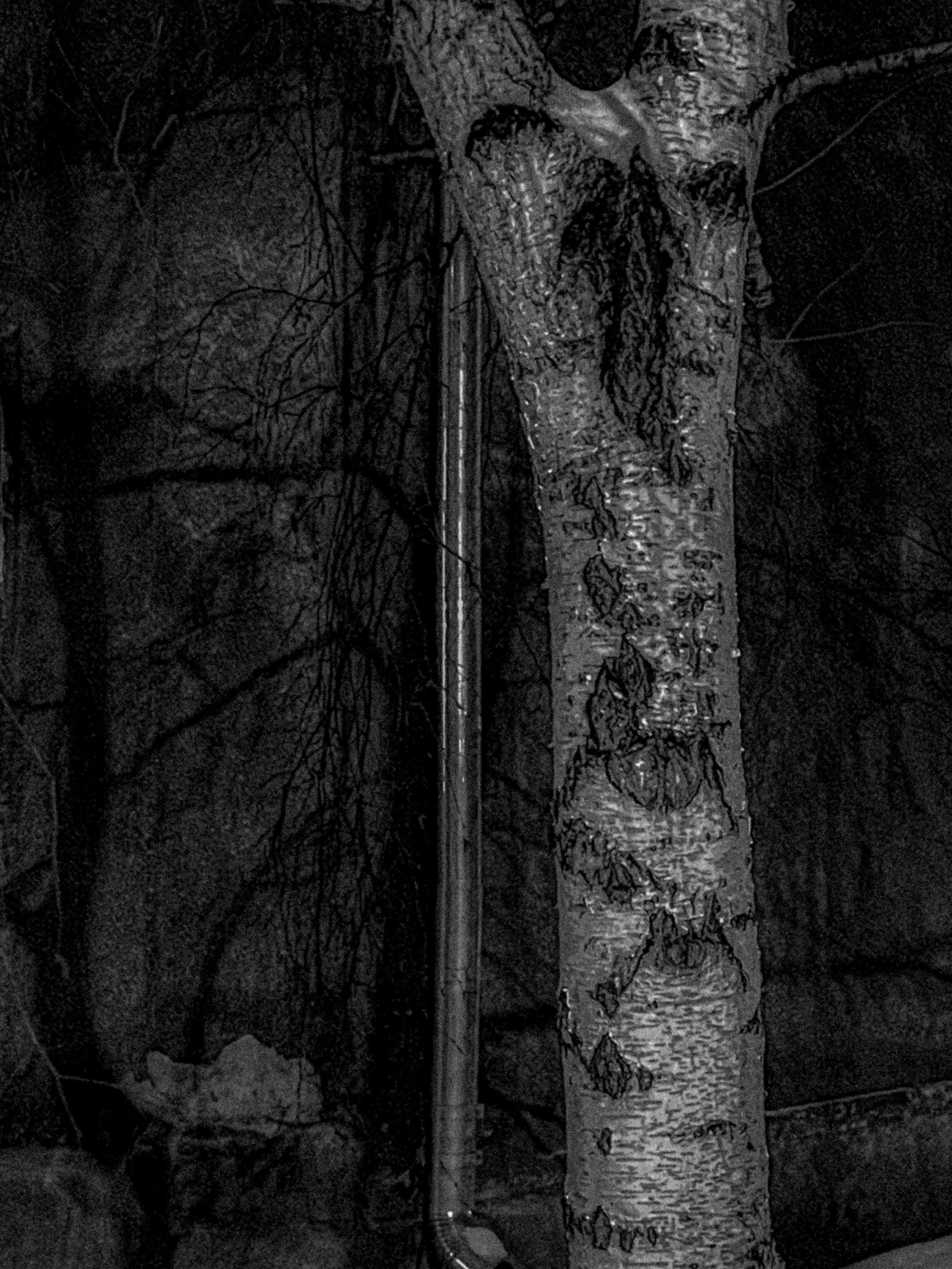 Город Н. Предание о руинах: АРХИВ ПУСТОТЫ