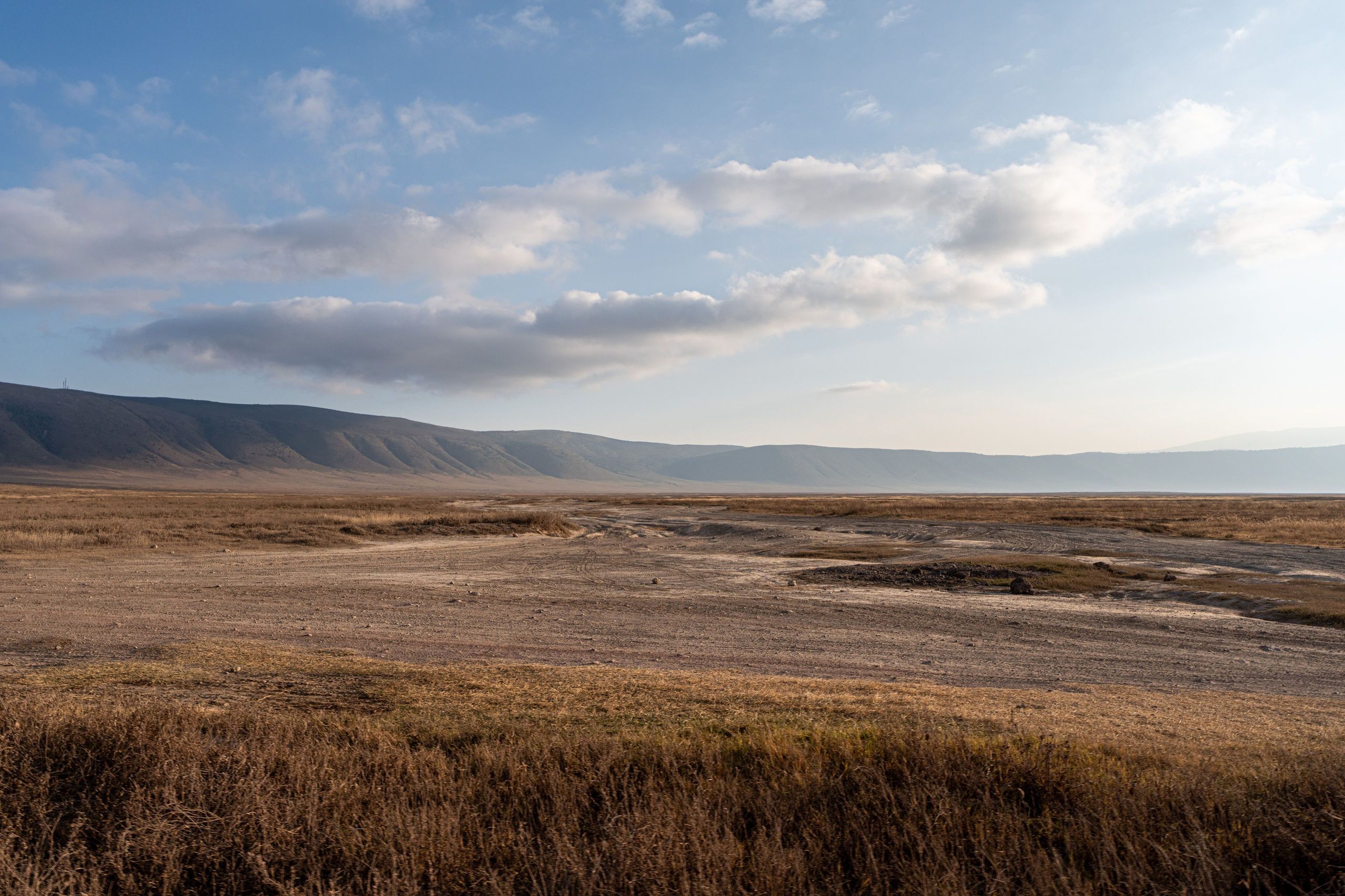 Танзания, сафари, 2025. Творческие сьемки