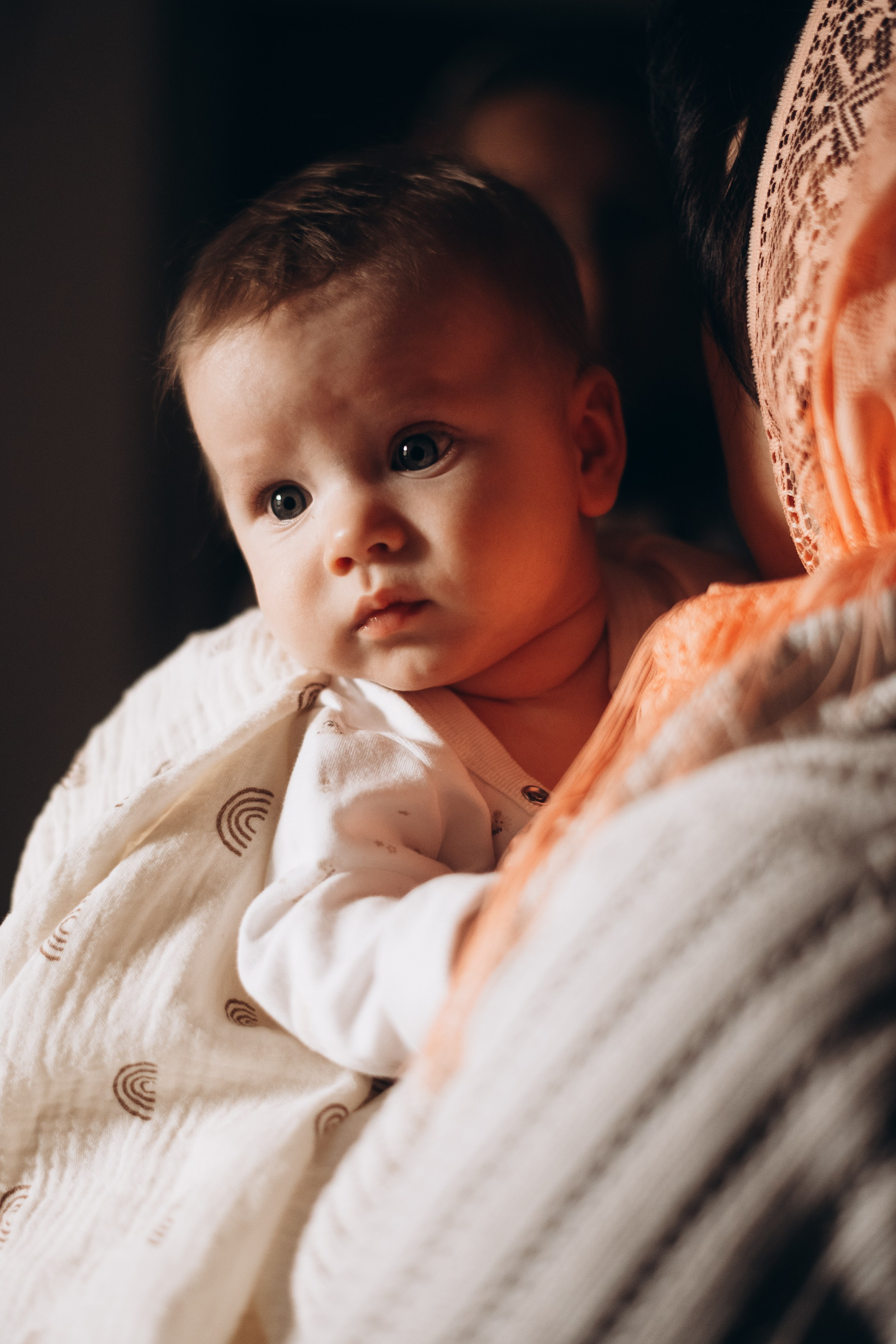 Крещение в Свято-Лукиановой пустыни, г. Александров