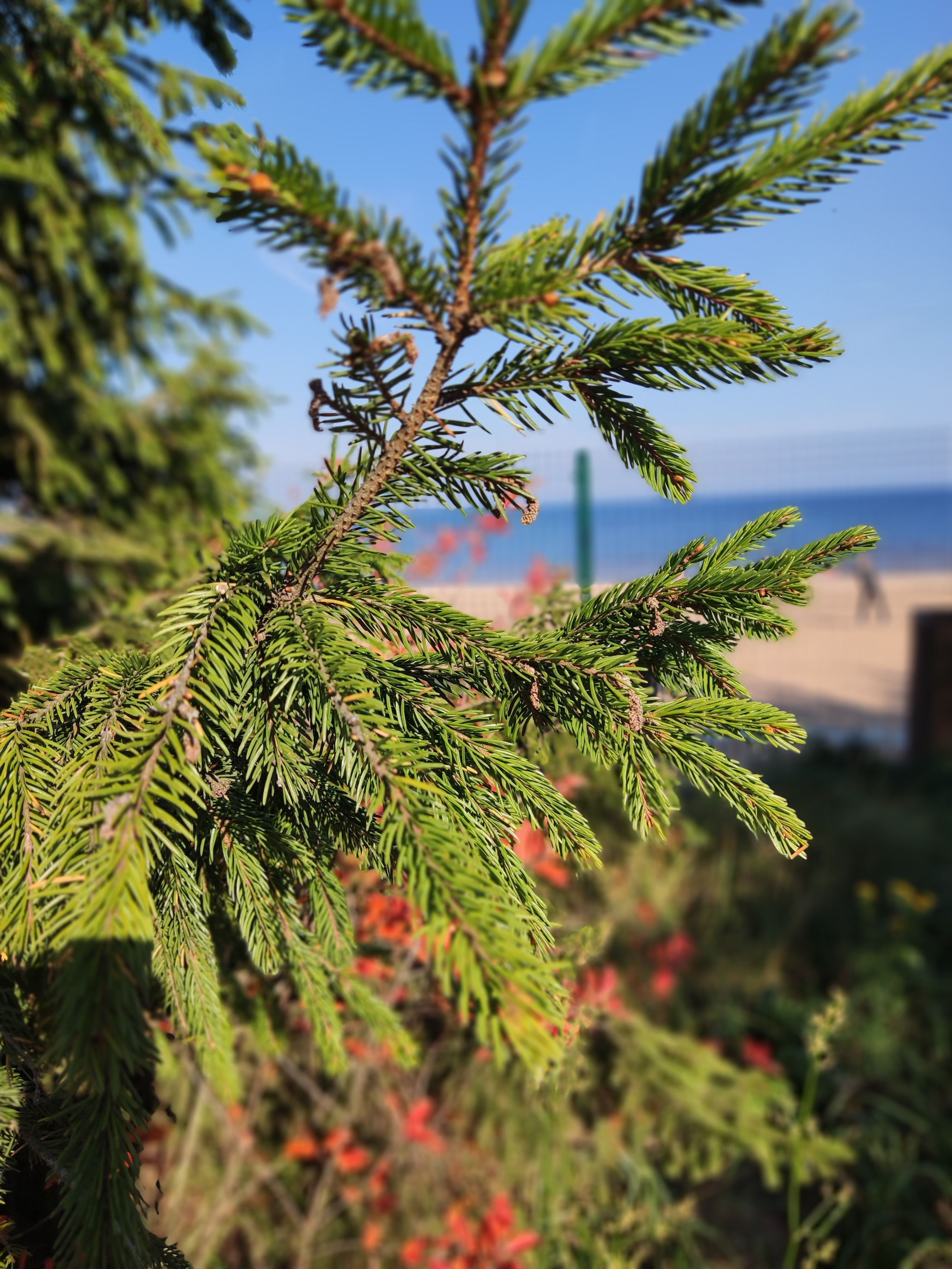 Уличная съёмка. F.O.xygen