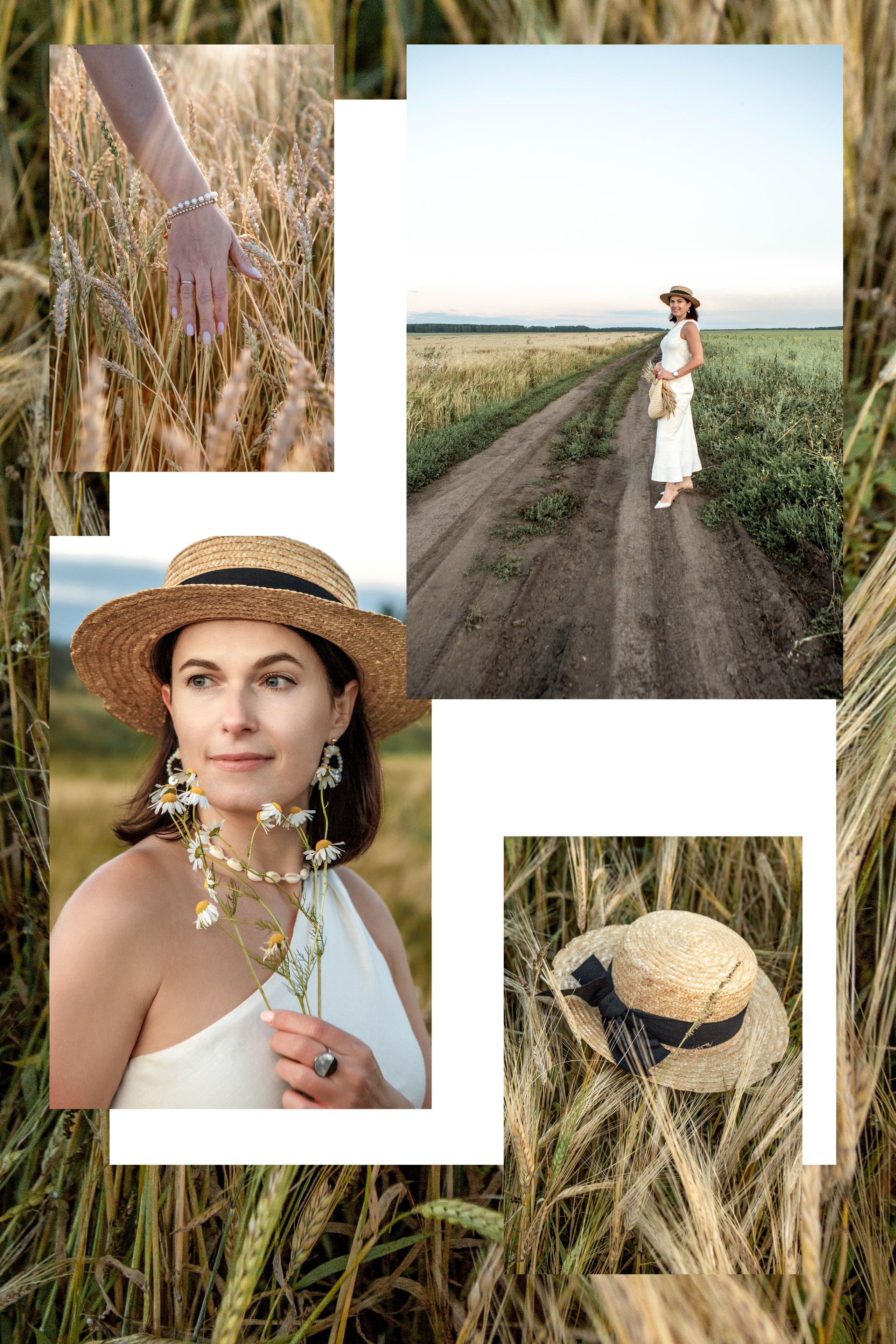 Пшеница на закате. Фотограф Екатерина Голицына