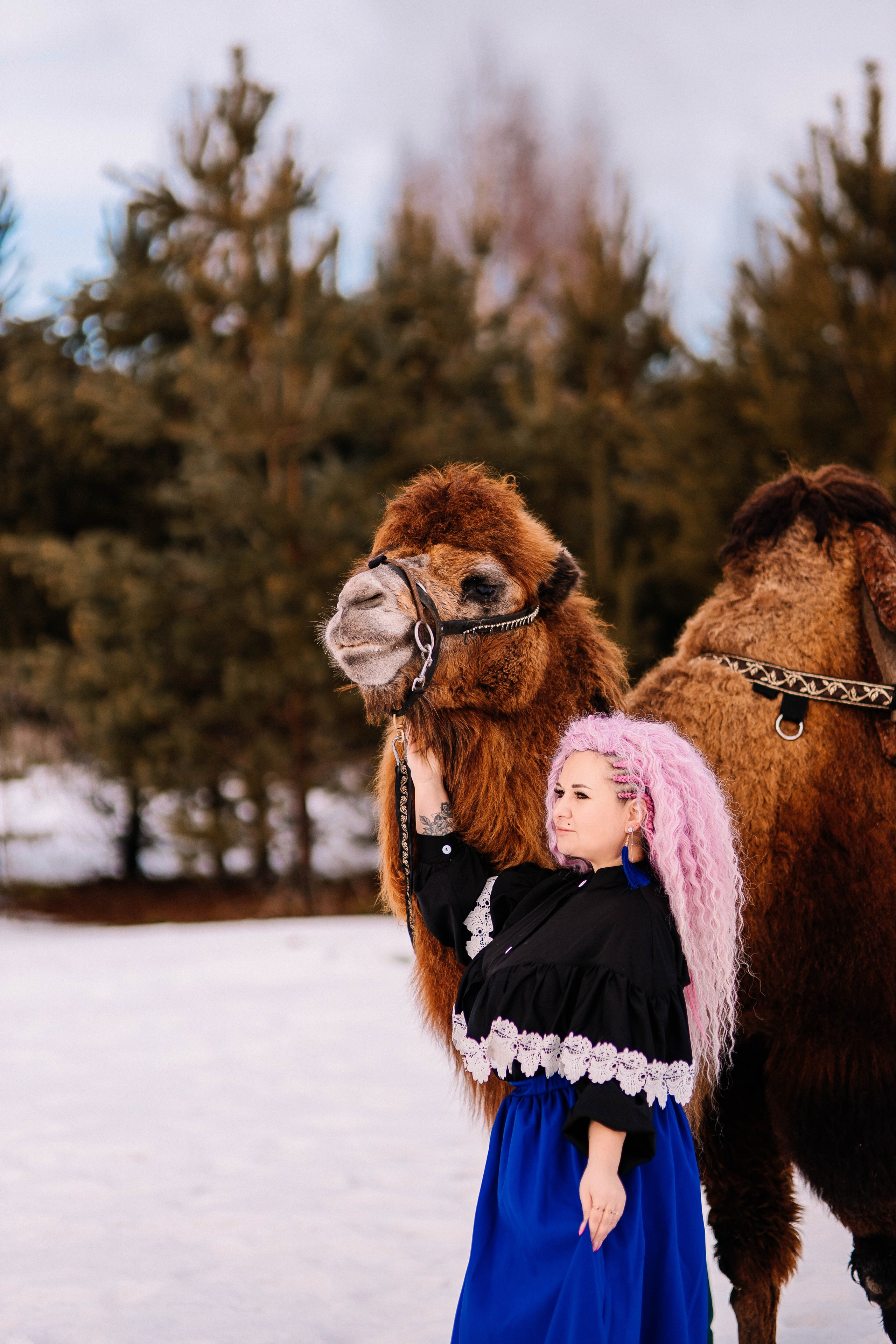 Леденящее приключение. Фотосессии Фотодни Псков СПб