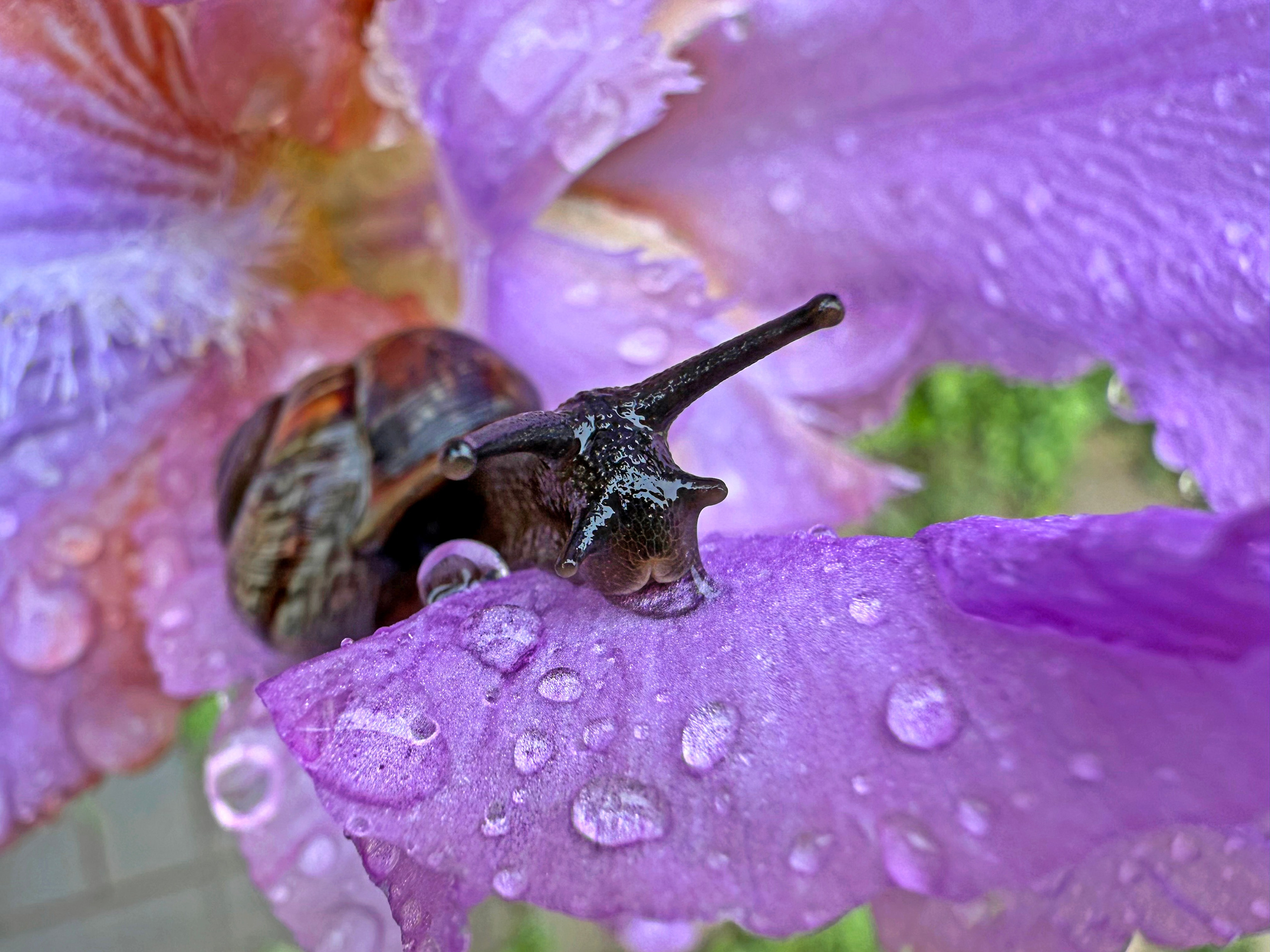 Ростов-на-Дону «Тысяча лиц воды». ARTEXPOPHOTO