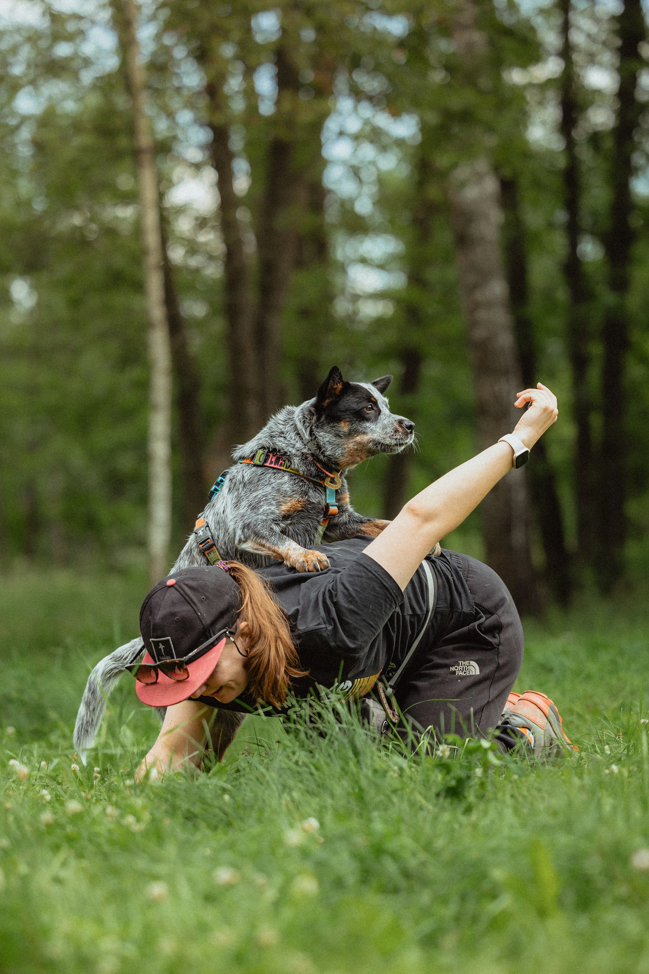 Выездной дог-тренинг от школы «Шерсть имею»