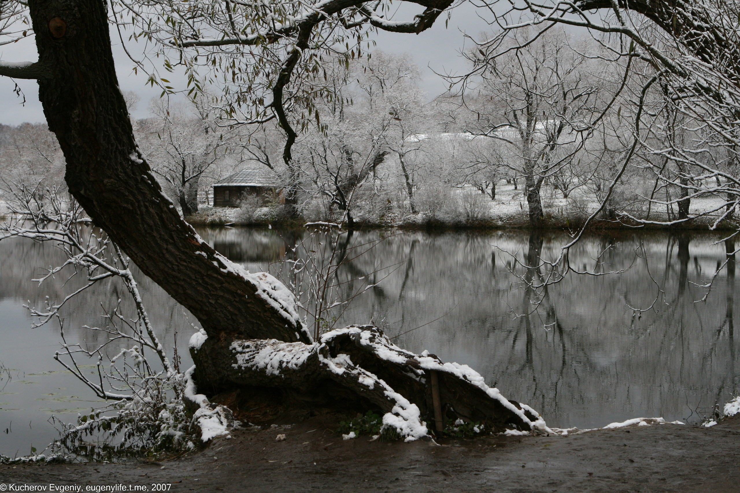 Природа. Кучеров Евгений. Фотограф