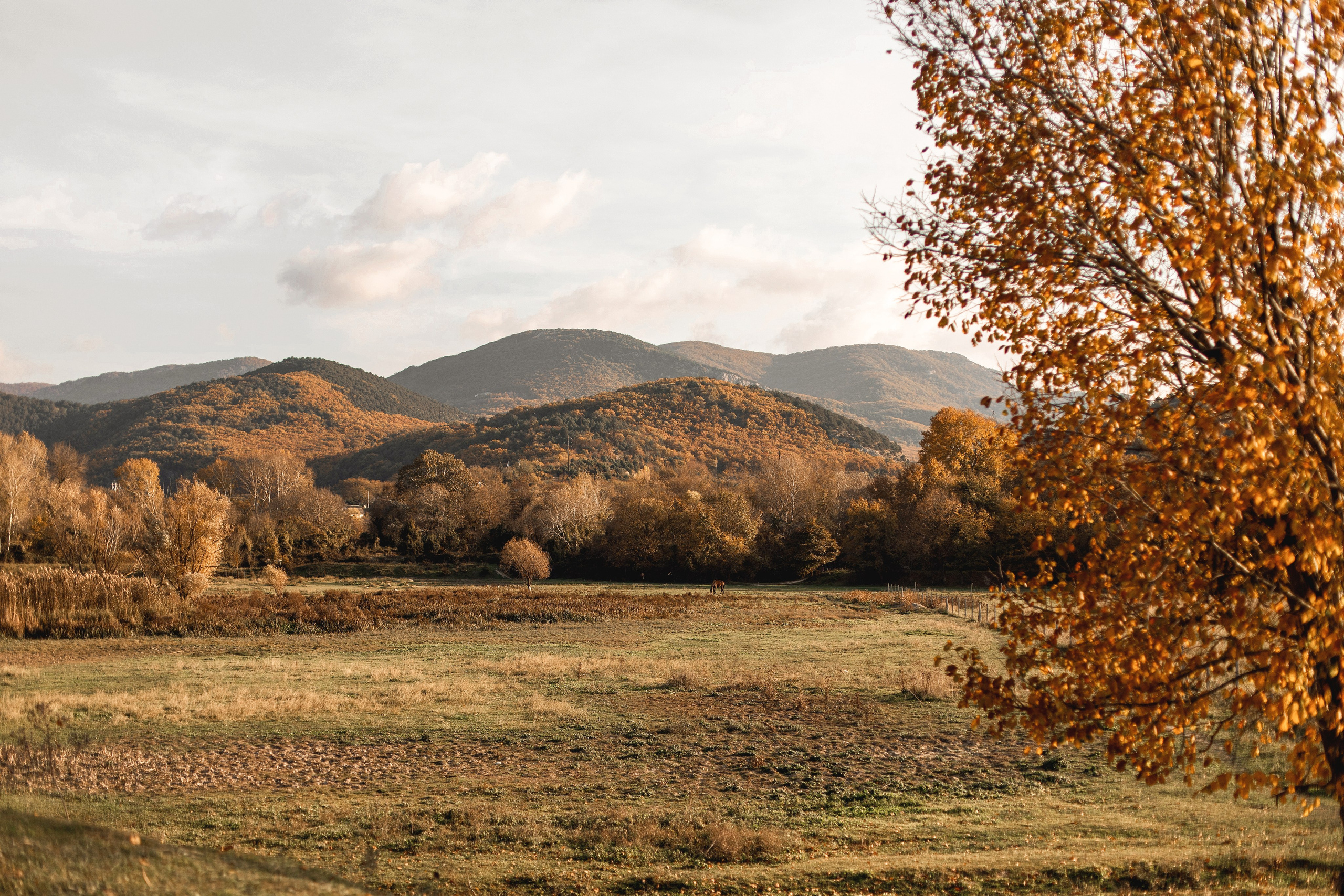 Ира, Сережа, Миша. Фотограф Севастополь — Климова Анастасия