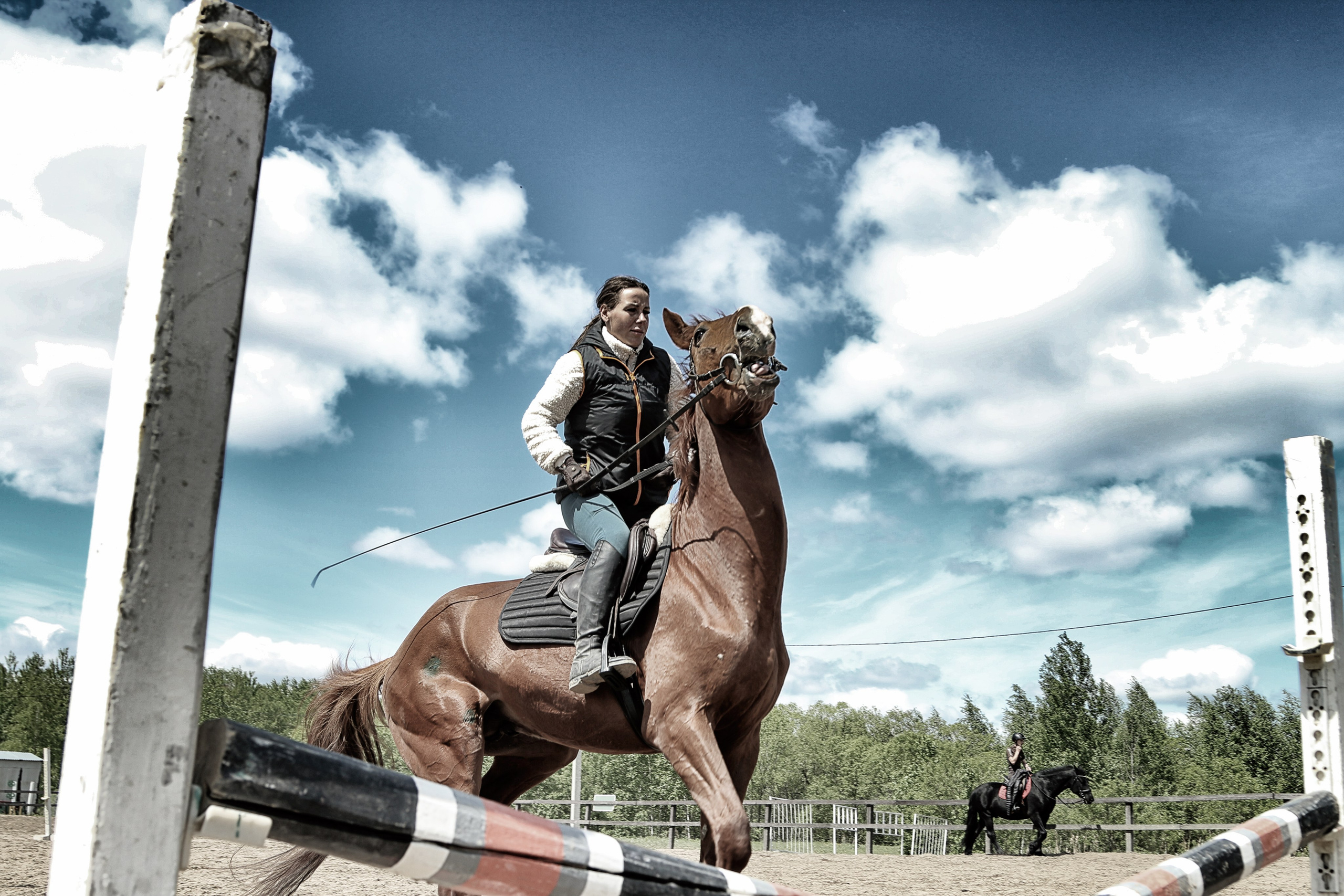Лошади «Каскад» и «Брилиант». Алиса Томшина — Фотограф / Видеограф