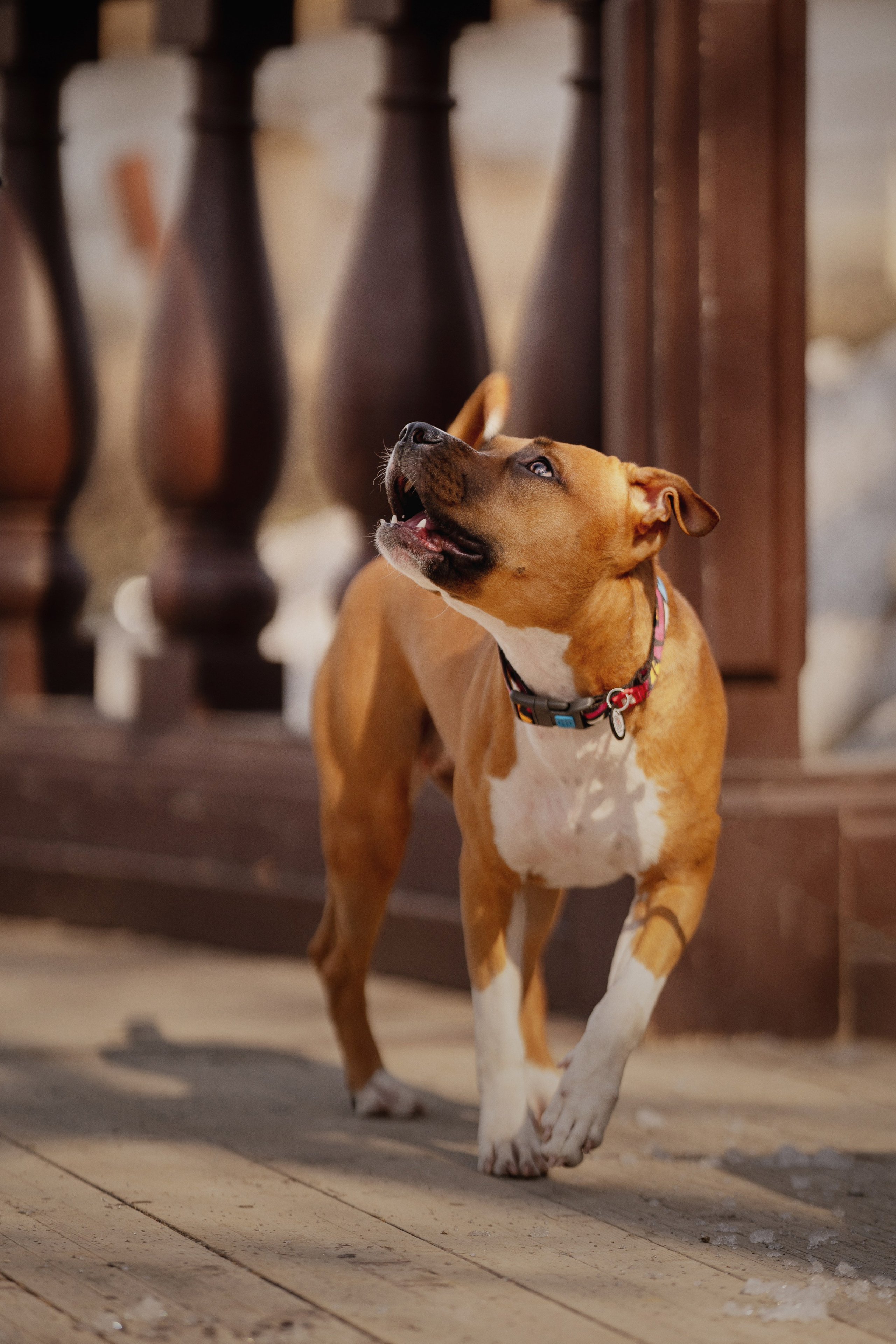 Луна. Kameramotor74