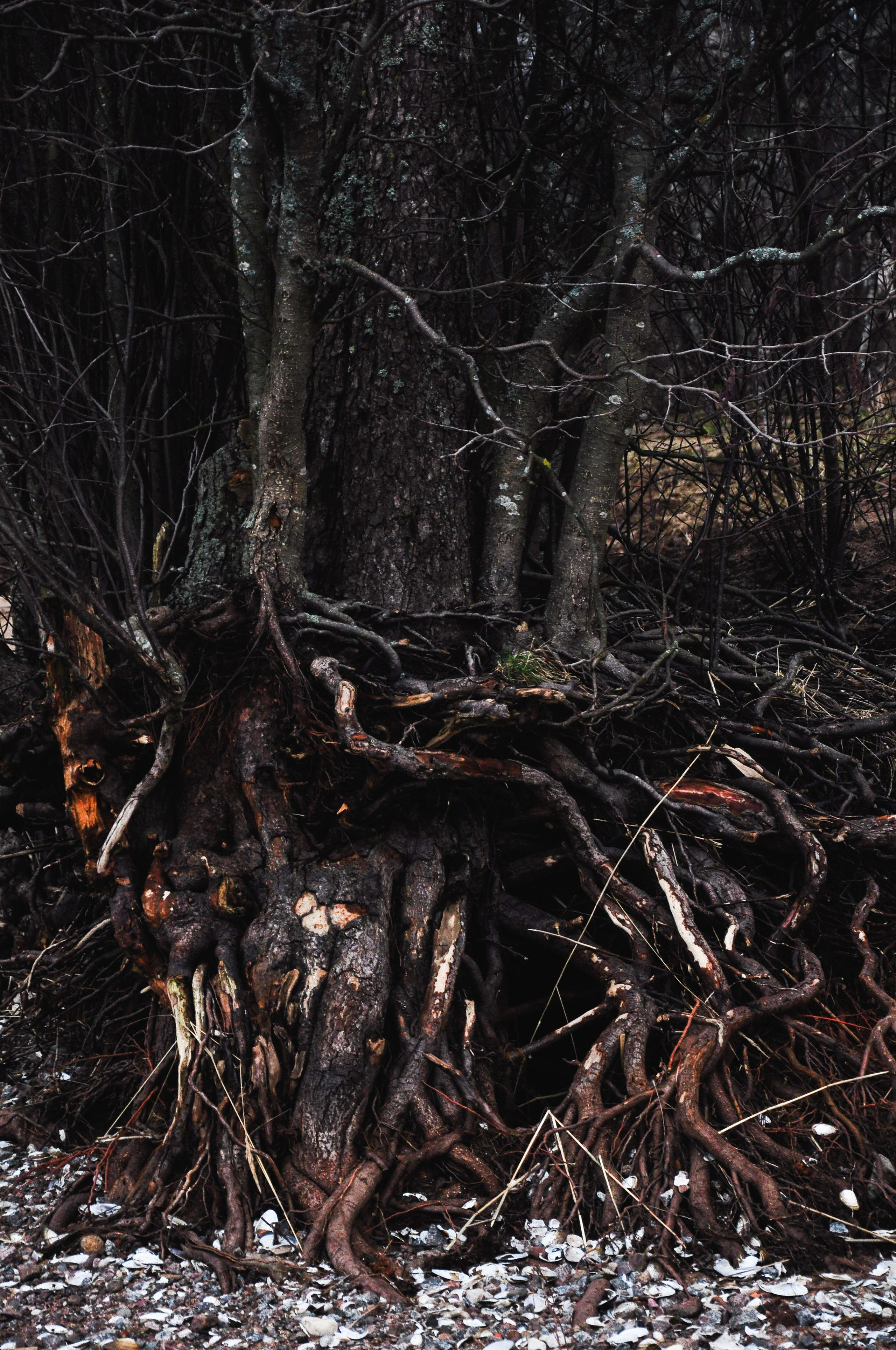 Холодный пляж. Катрин Эдельвак