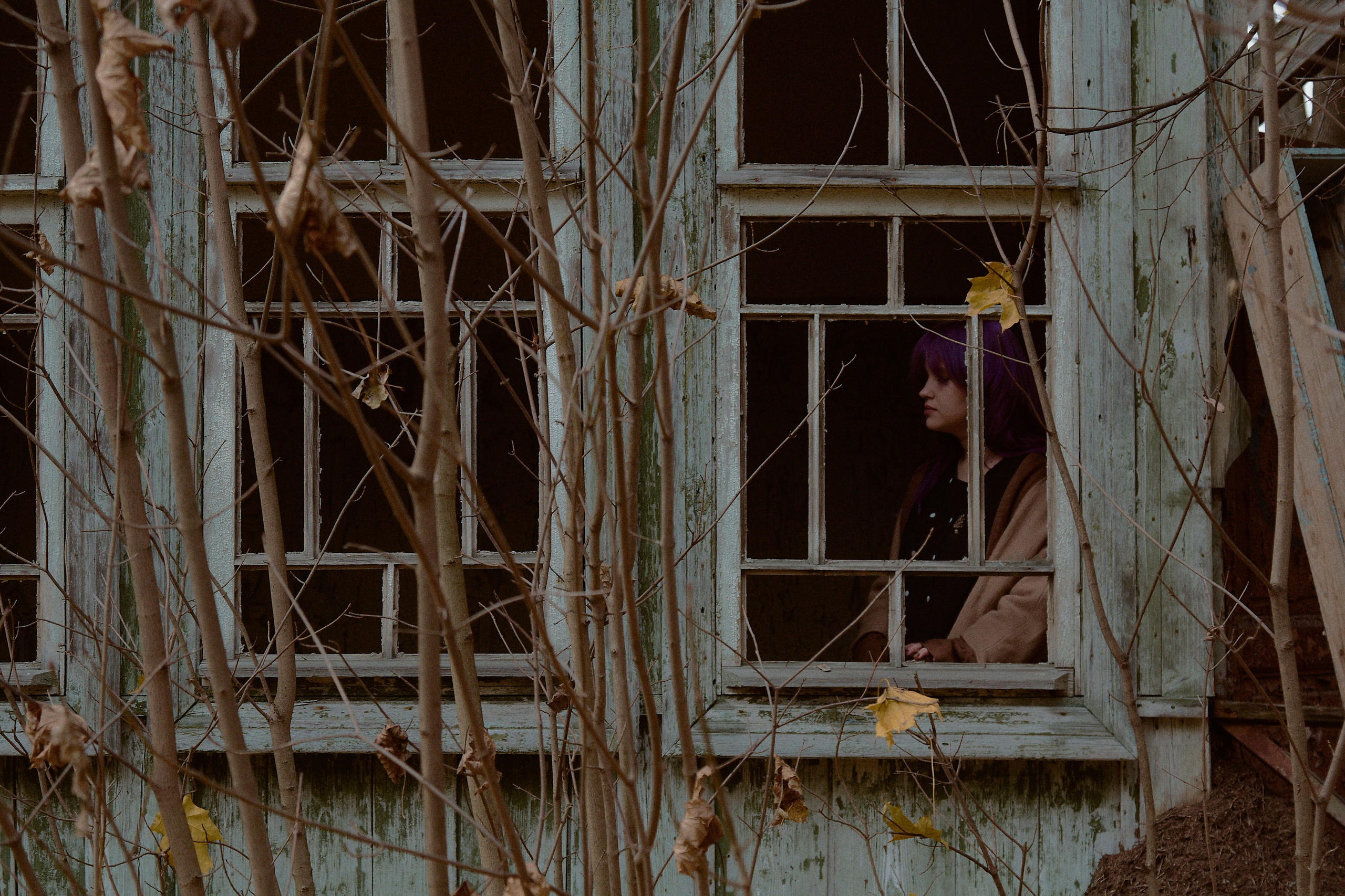 Русская сказка. Фотограф лавстори Москва/МО Приятелева Ангелина