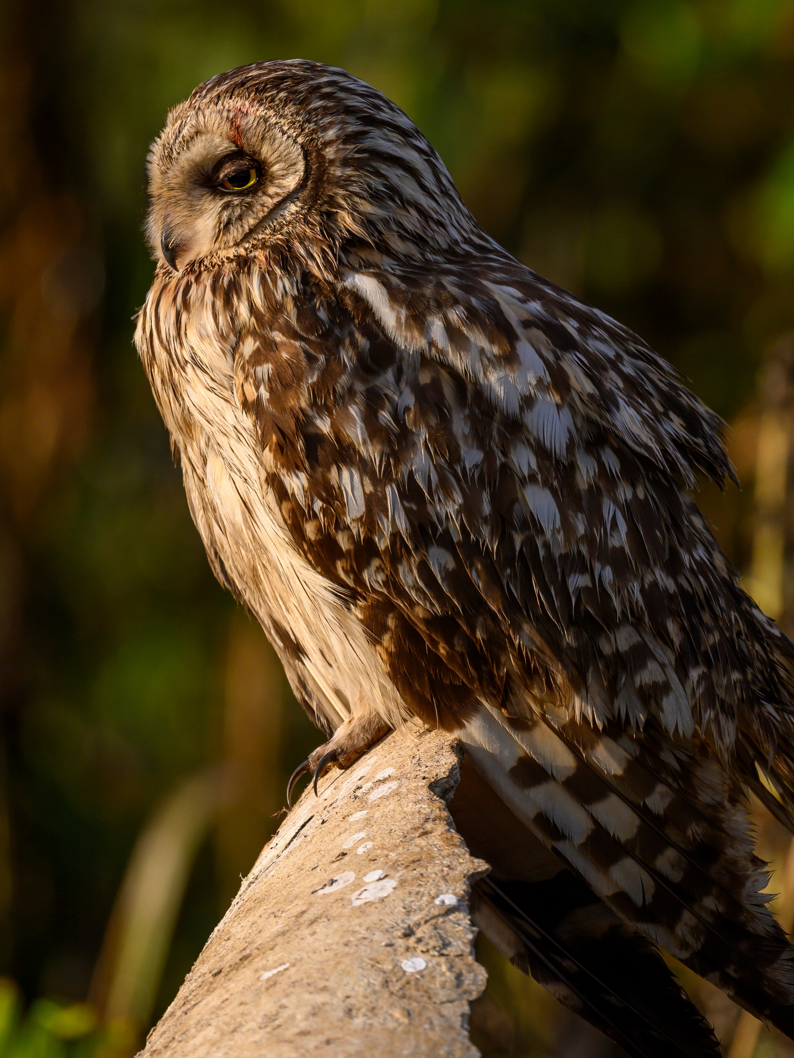 Боевая раскраска охотника. Face Paint of the Hunter. Фотограф Сергей Пупонин