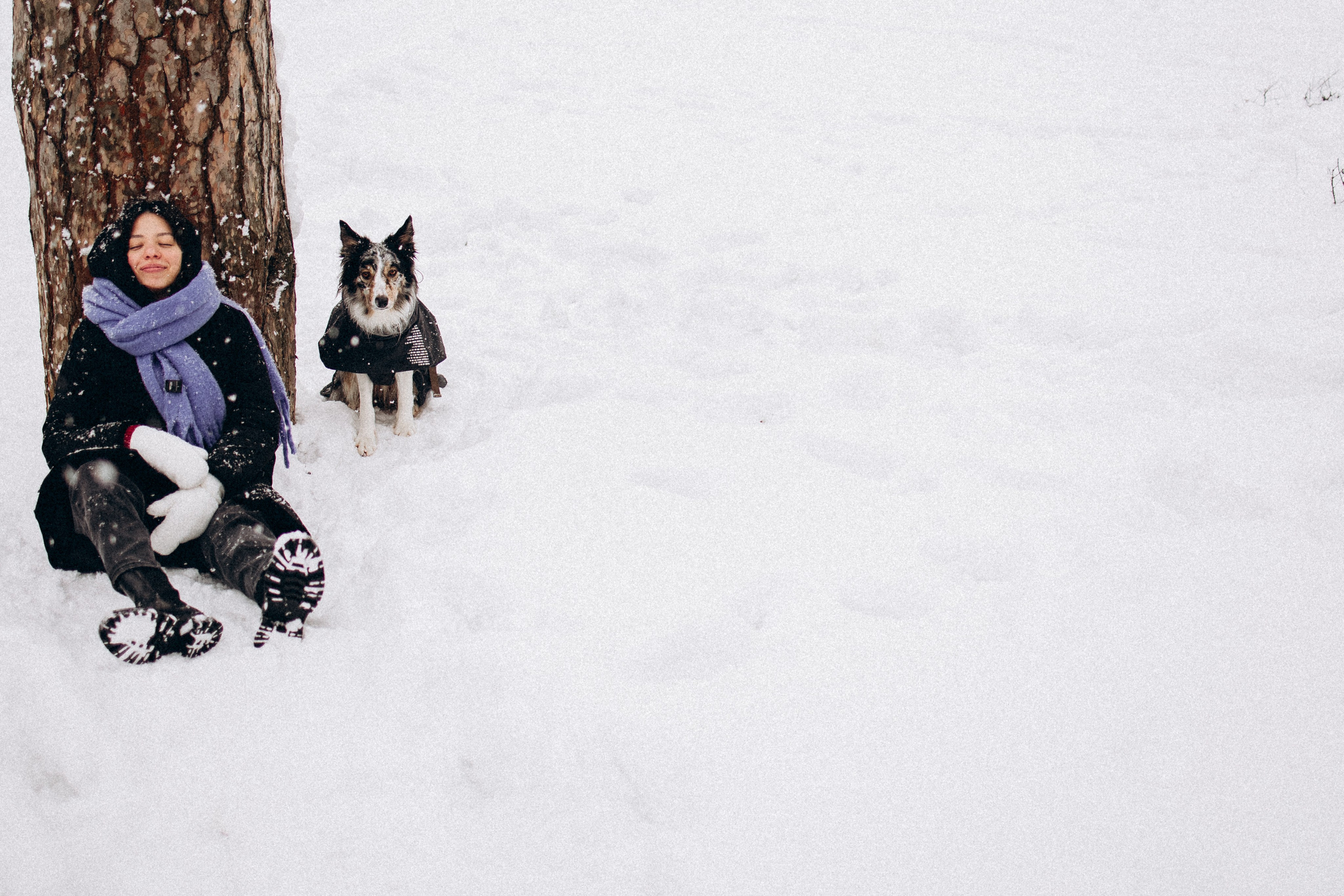 Настя и Тор. Фотораф — анималист Мария Шистка