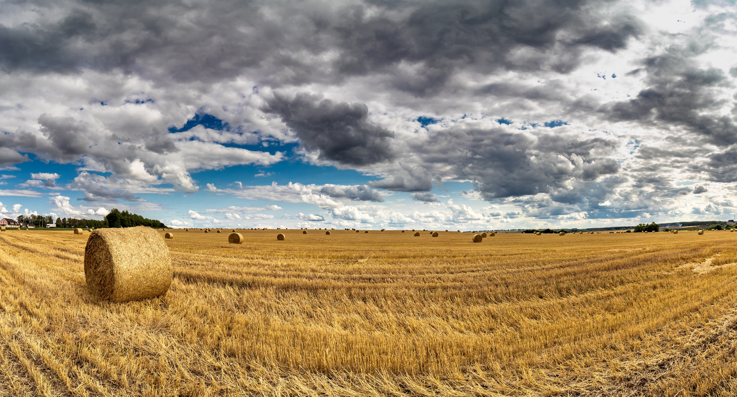 На досуге. Фотограф в Вязьме