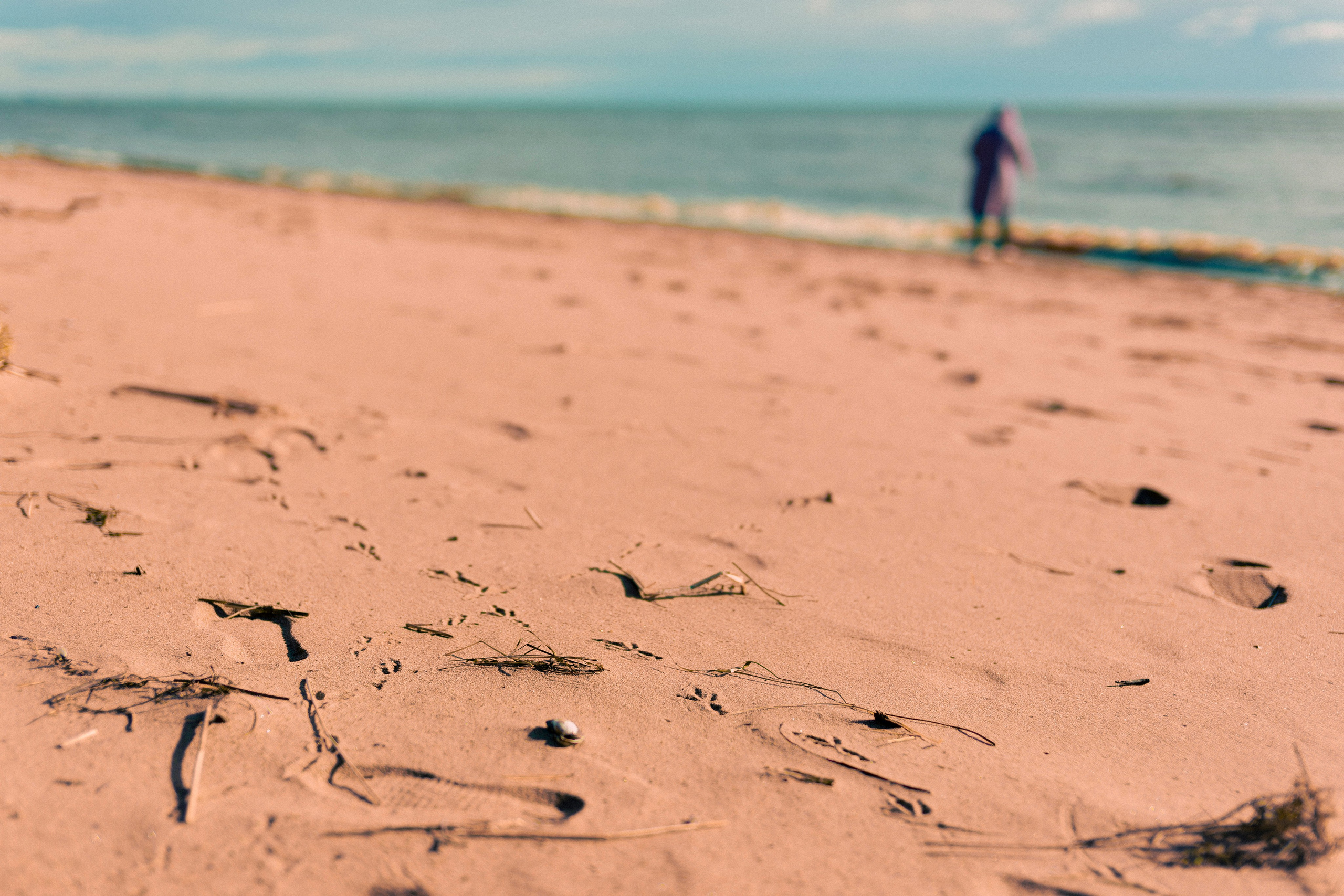 Из наблюдений. Плак или Квак