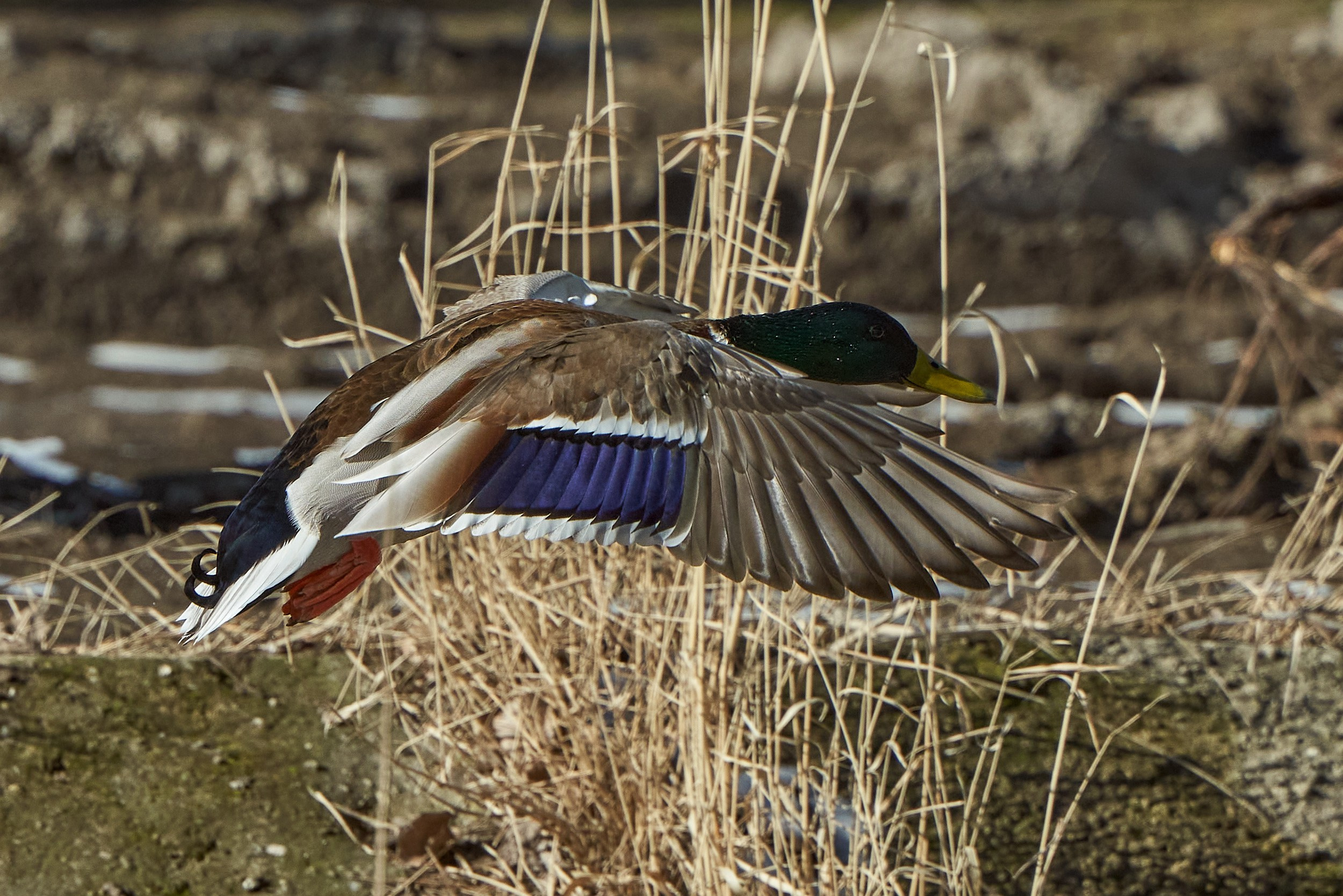 Фотографии улиц и пляжей Анапы. Профессиональный фотограф в Анапе Артем Ковальский