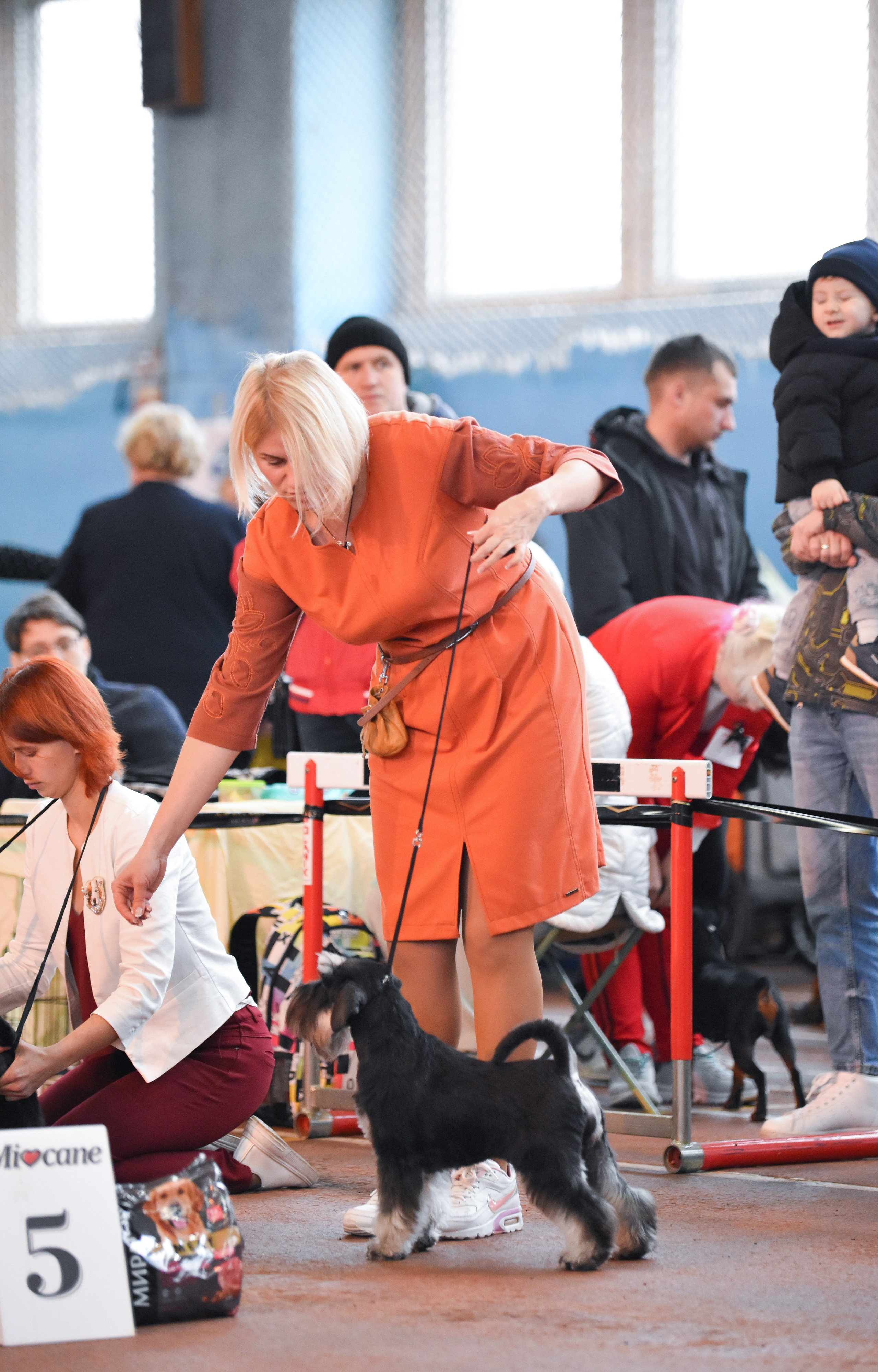 Питомник Делинсо Бэлэнс, щенки цвергшнауцера, купить щенка цвергшнауцера, питомник цвергшнауцеров, кобель цвергшнауцера для вязки, щенок цвергшнауцера, питомник цвергшнауцеров, черный с серебром, цверг, лучший питомник в беларуси