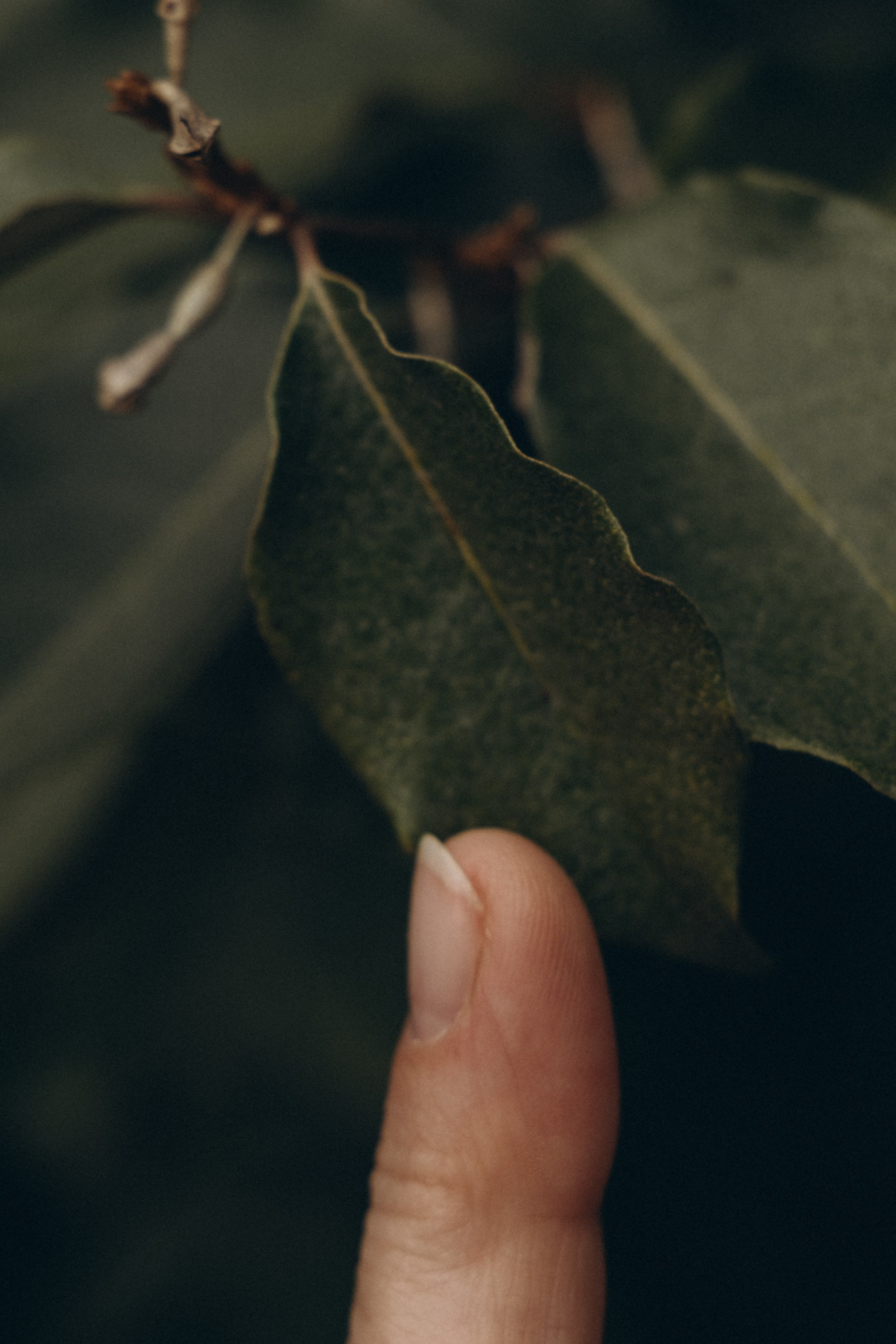 Ольга. Мария Кобзева, фотограф в Ялте, Крым