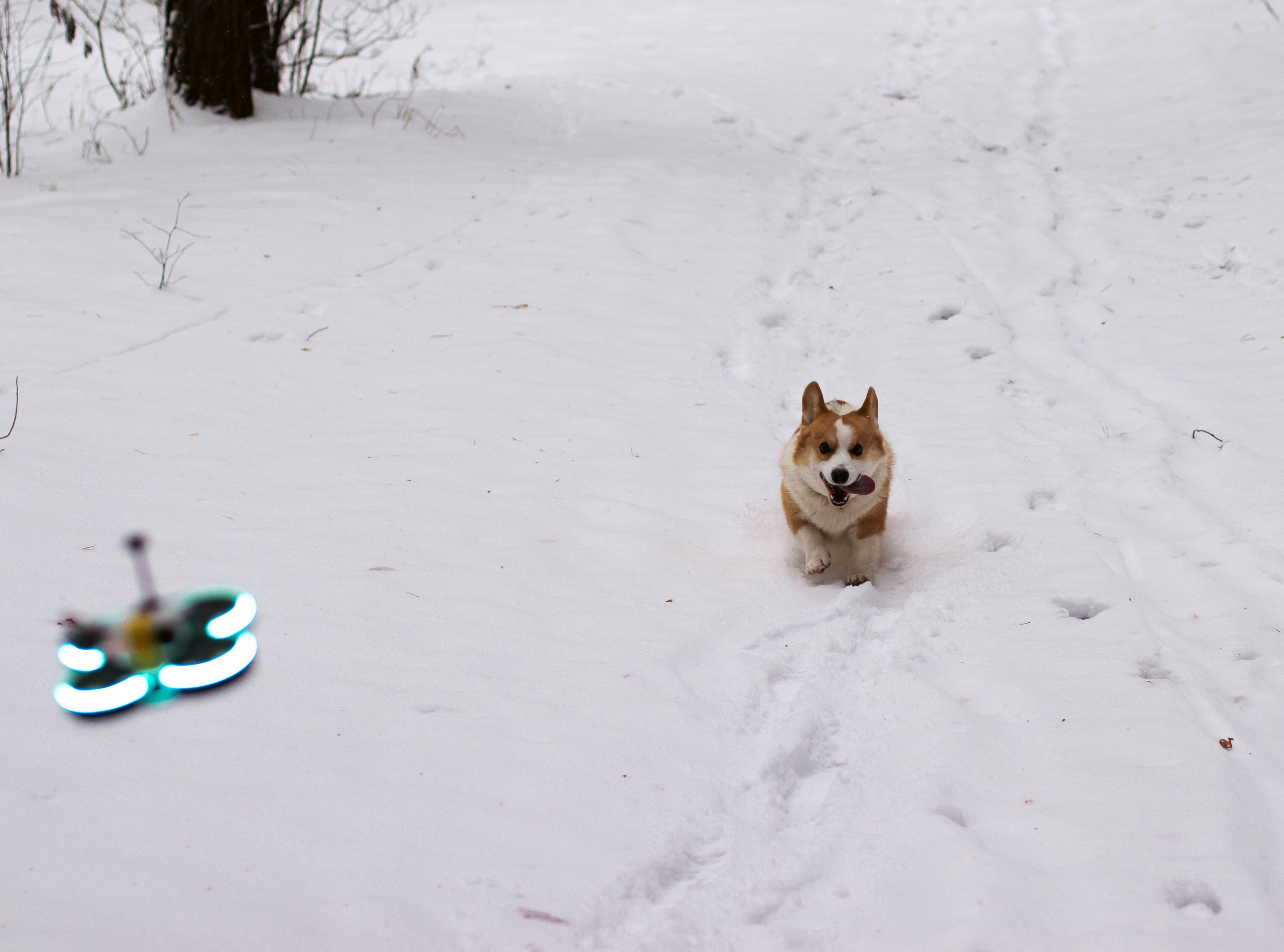 Деймик. Фотограф в Москве Ксюшенька