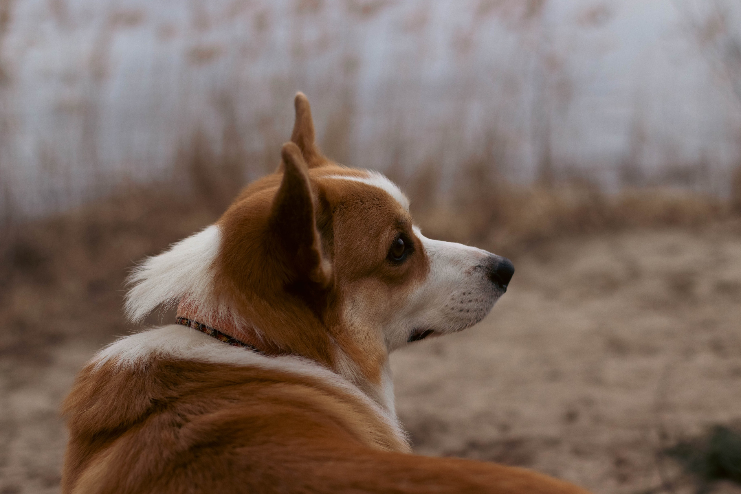 Деймик. Фотограф в Москве Ксюшенька