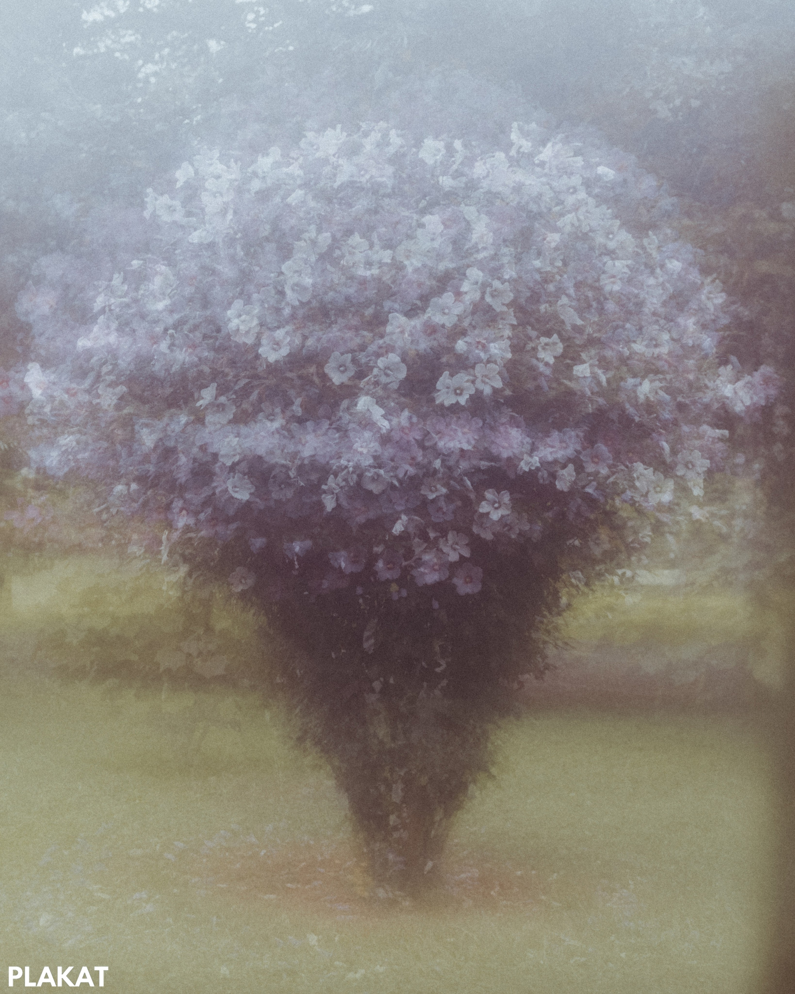 @kalinovskiy.gennadiy.photo