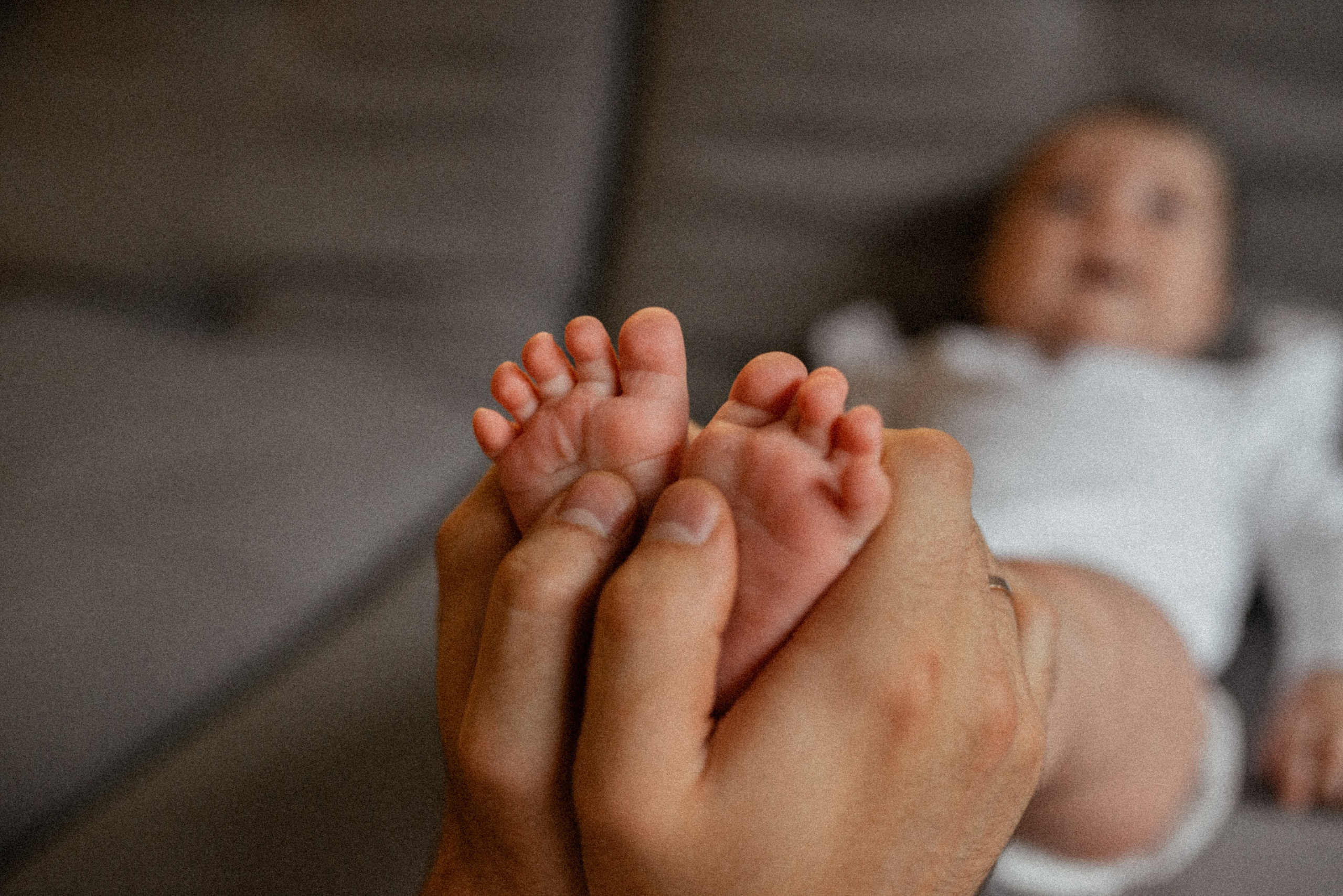 Домашняя 26.11.23. Галина Чекунова Фотограф в Ростове-на-Дону