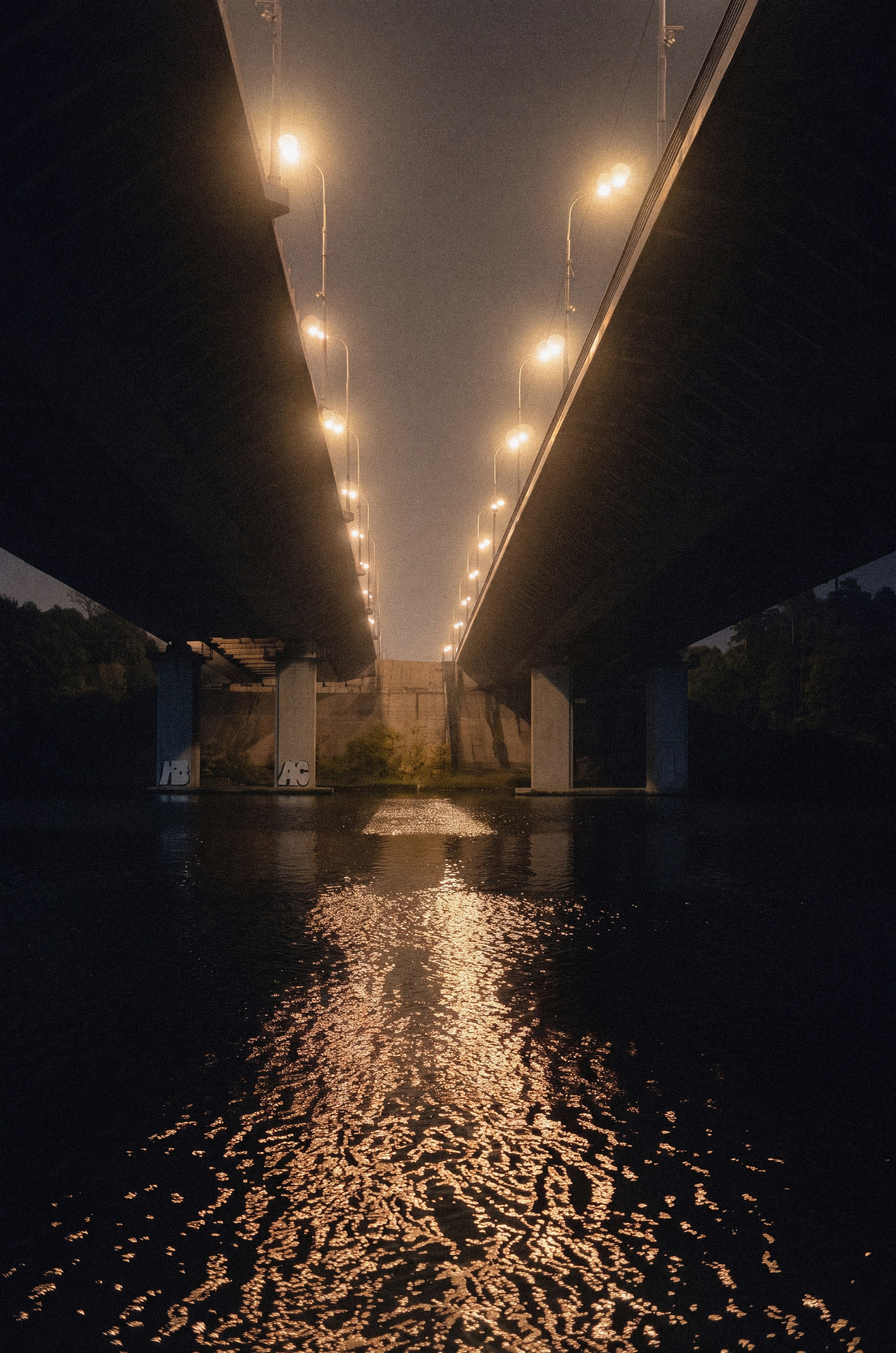 Night 2017-2022. Фотограф Cyberkyrie