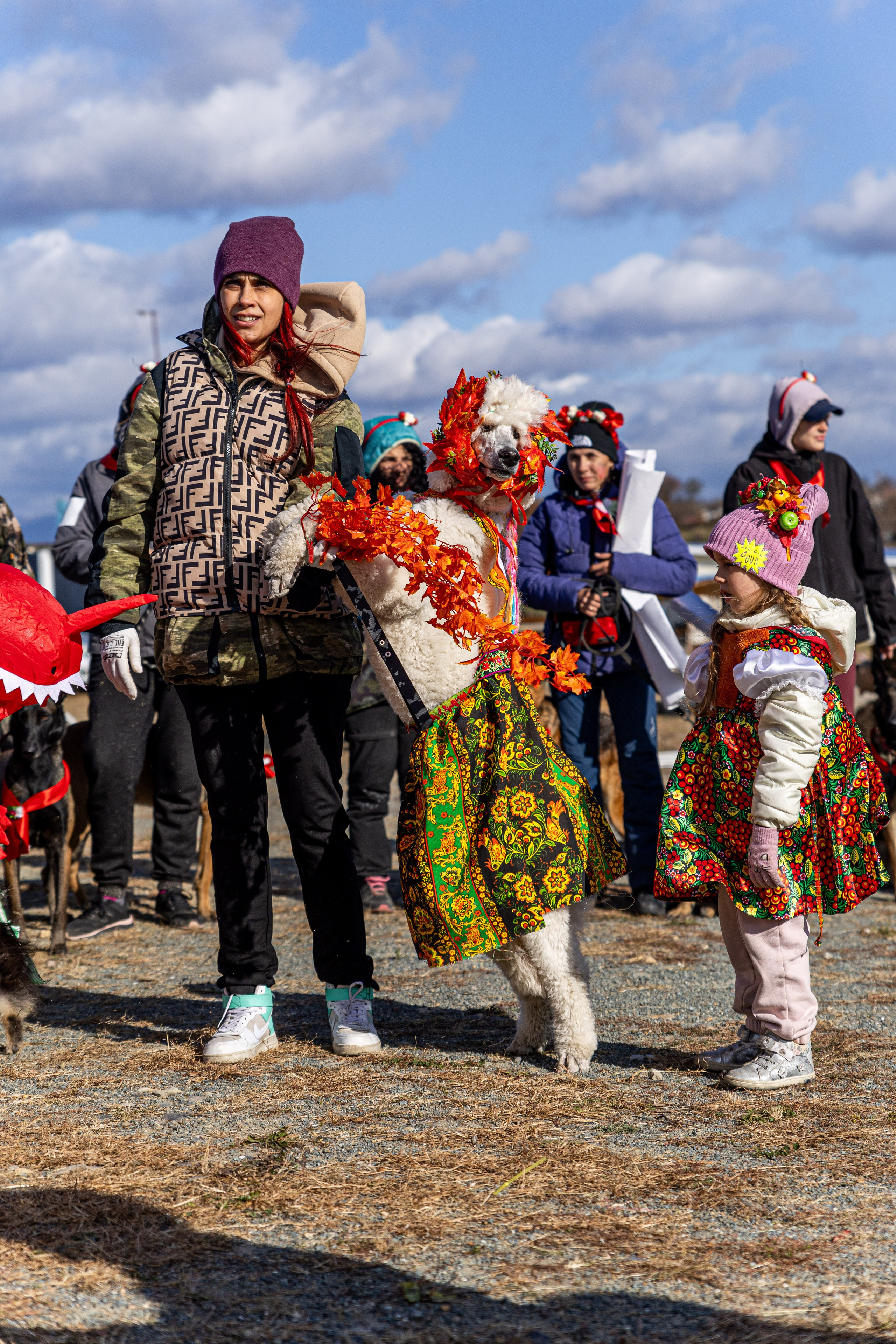 Кинологический квест г. Находка