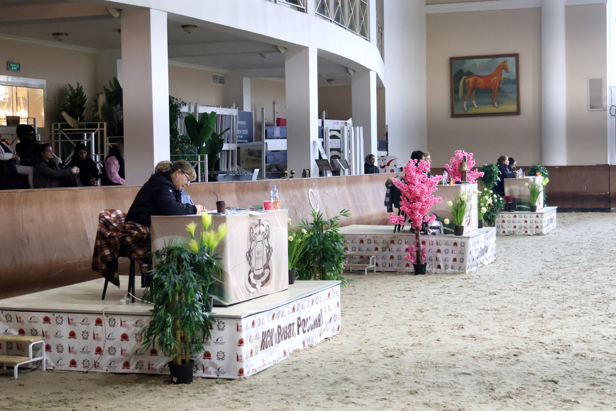 Соревнования по выездке КСК «Виват, Россия!». Спортивный и репортажный фотограф Ермакова Светлана