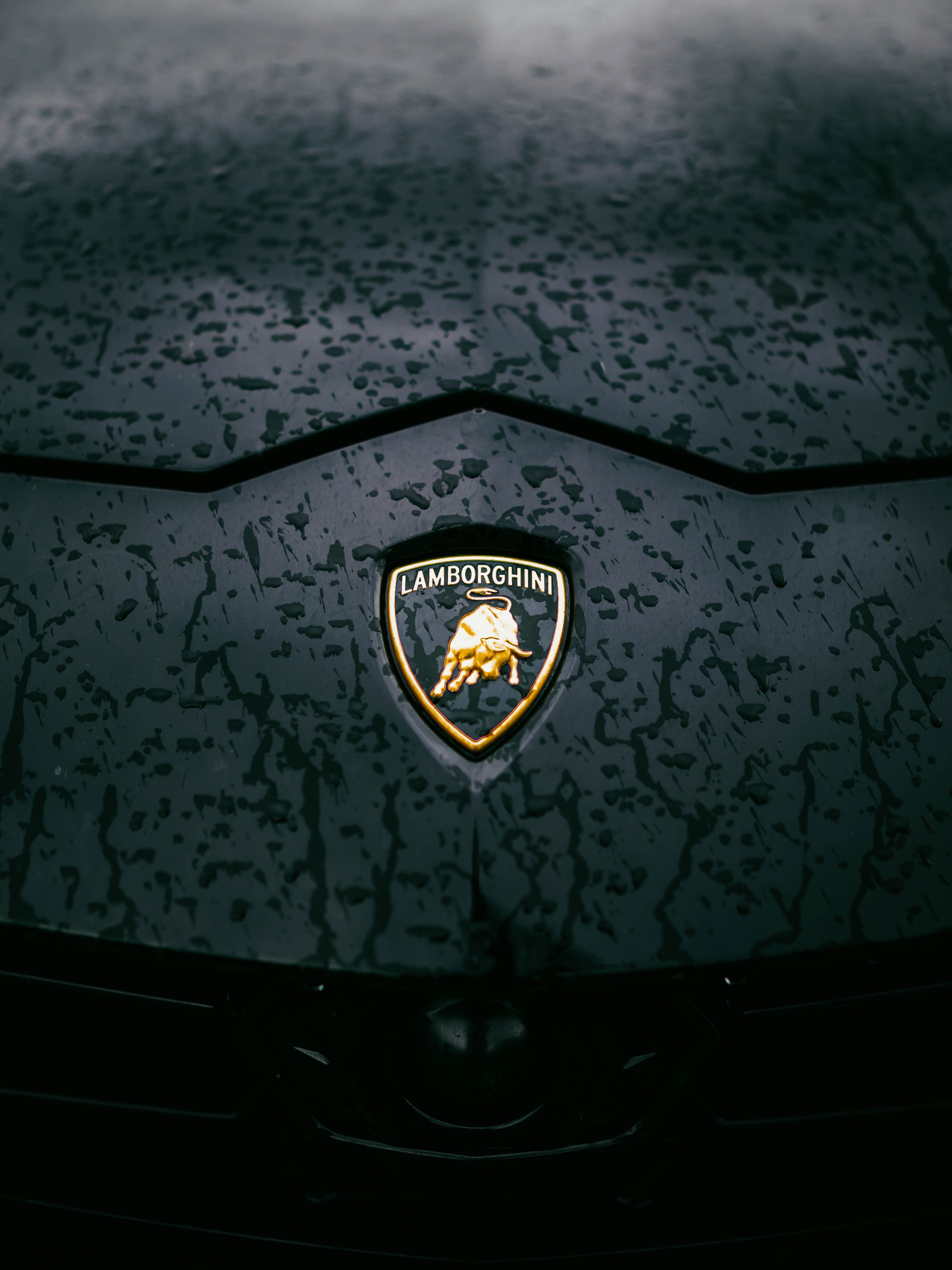 Drag Racing. SHDEN — Photographer | Content Creator