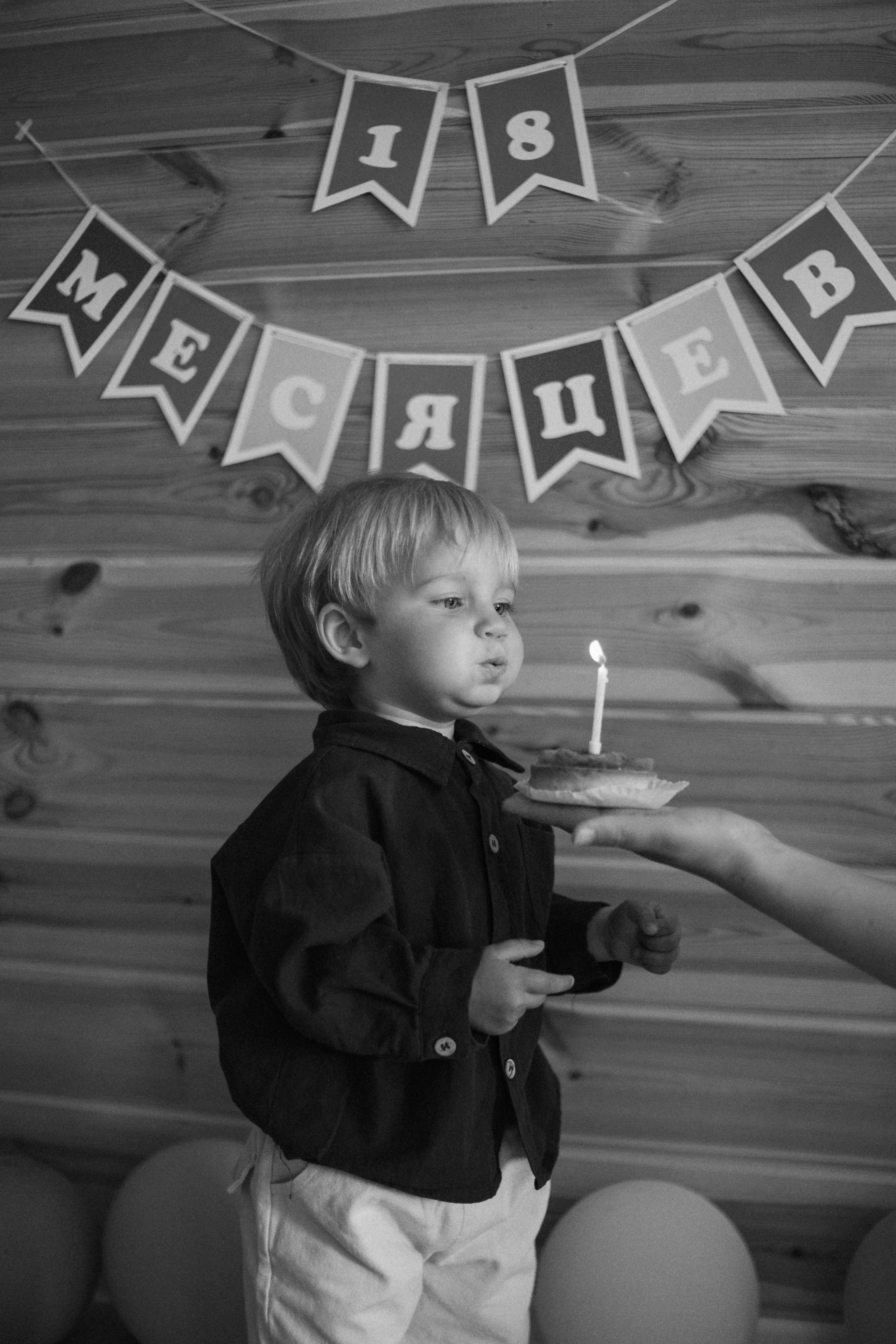 Полтора годика. Семейный и детский фотограф в Павловском Посаде Сарапкина Наталья