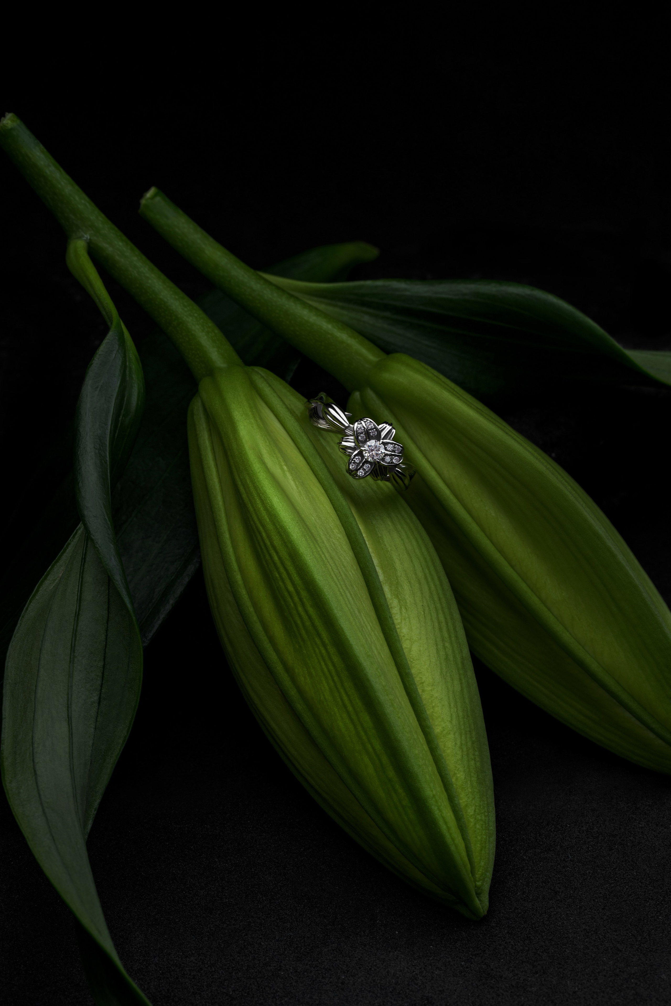 Medici jewelry. Контент фотограф в Москве Александр Хитько