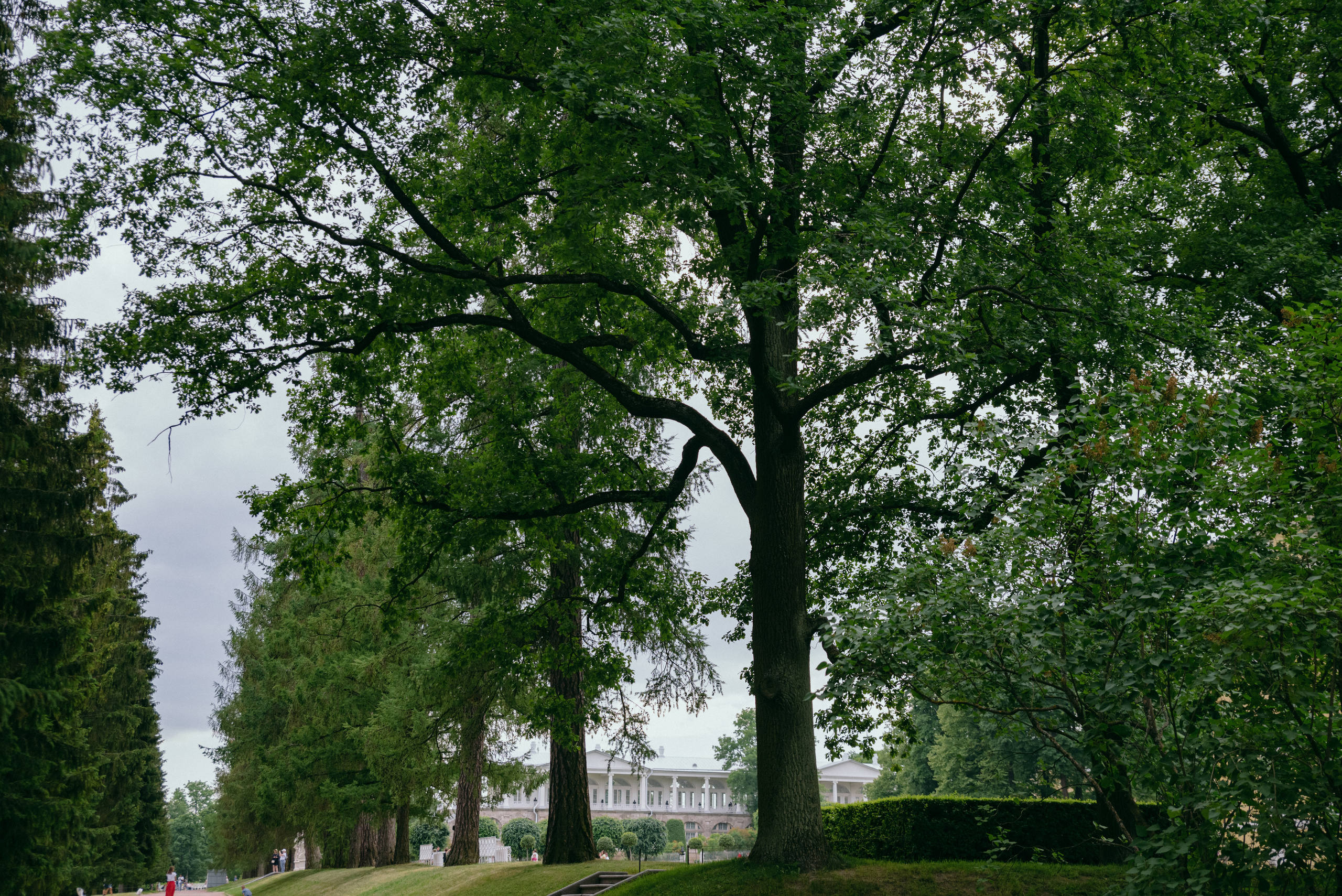 О+Д. Фотограф в Санкт-Петербурге Юлия Стехова